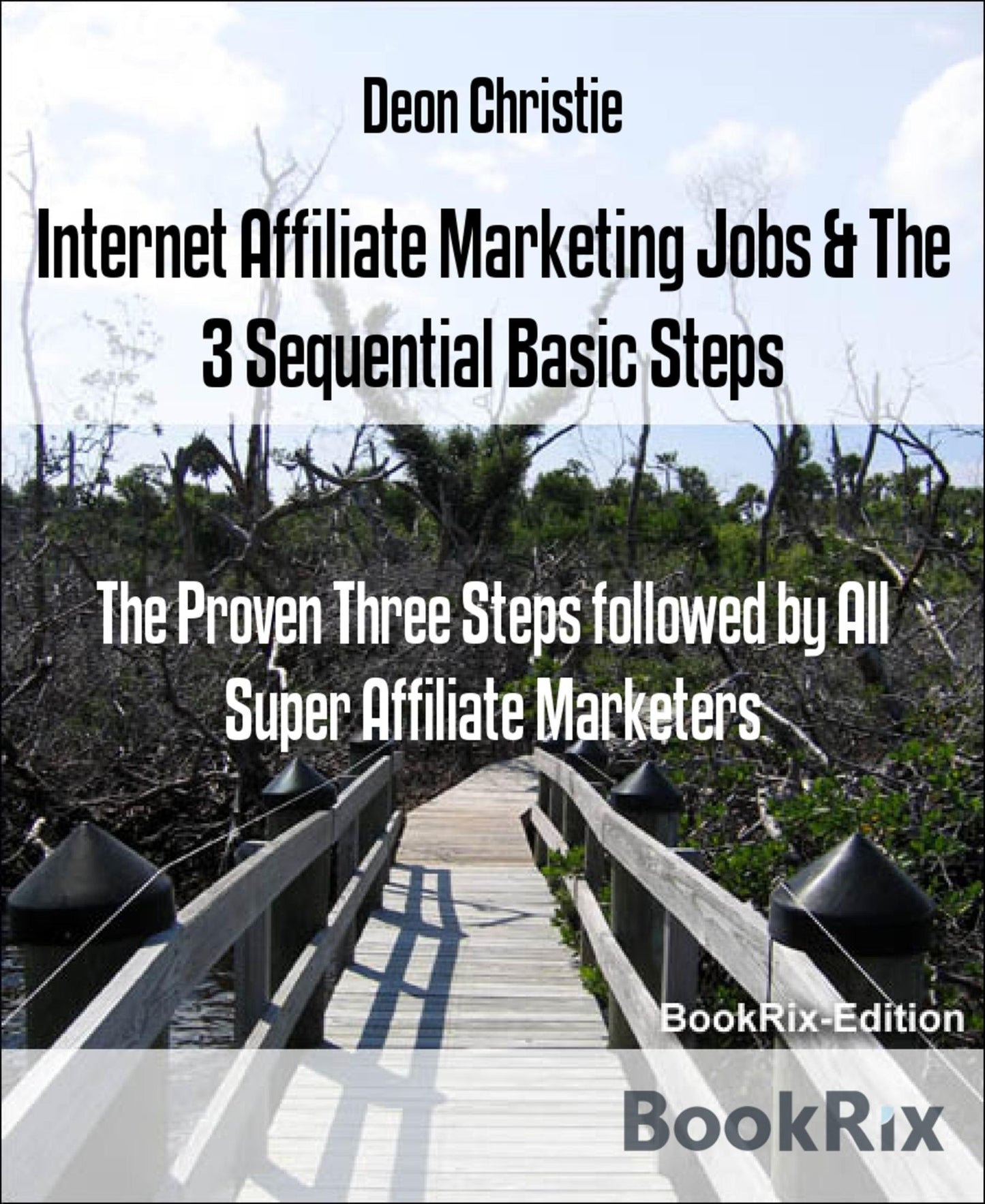 Internet Affiliate Marketing Jobs & The 3 Sequential Basic Steps: The Proven Three Steps followed by All Super Affiliate Marketers
