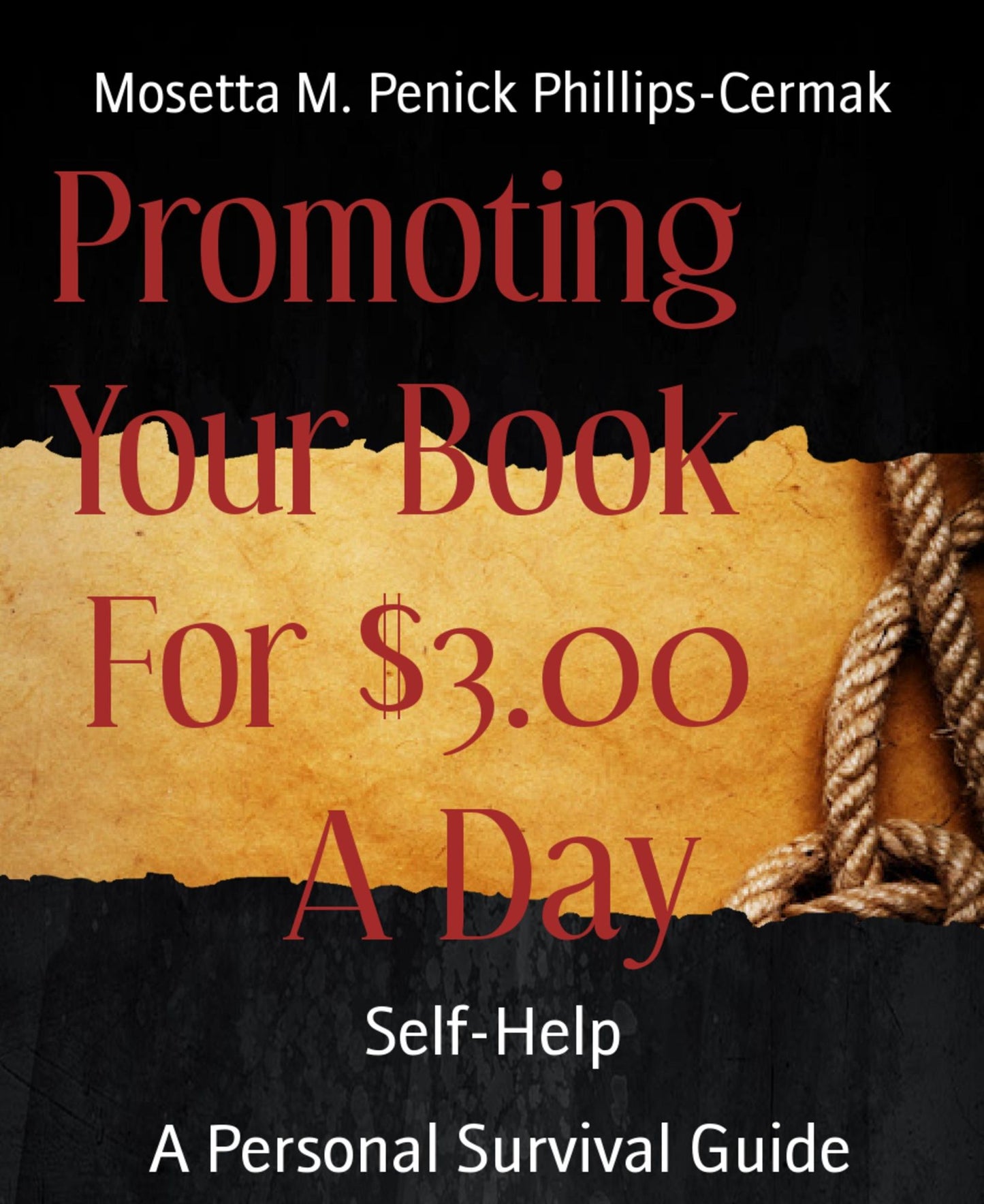 Promoting Your Book For $3.00 A Day: A Personal Survival Guide