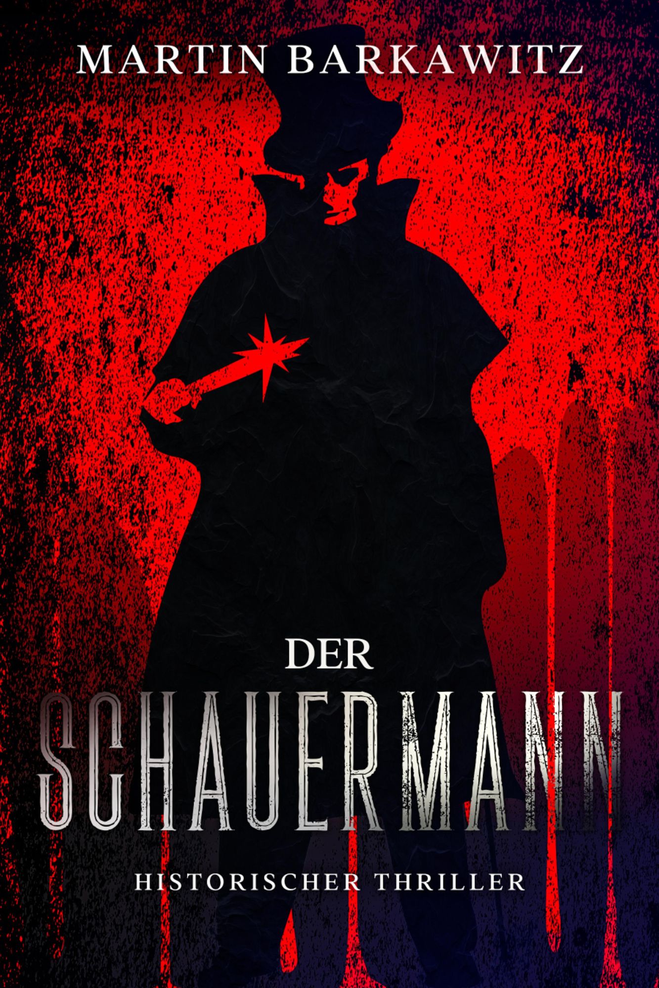 Der Schauermann: Historischer Thriller