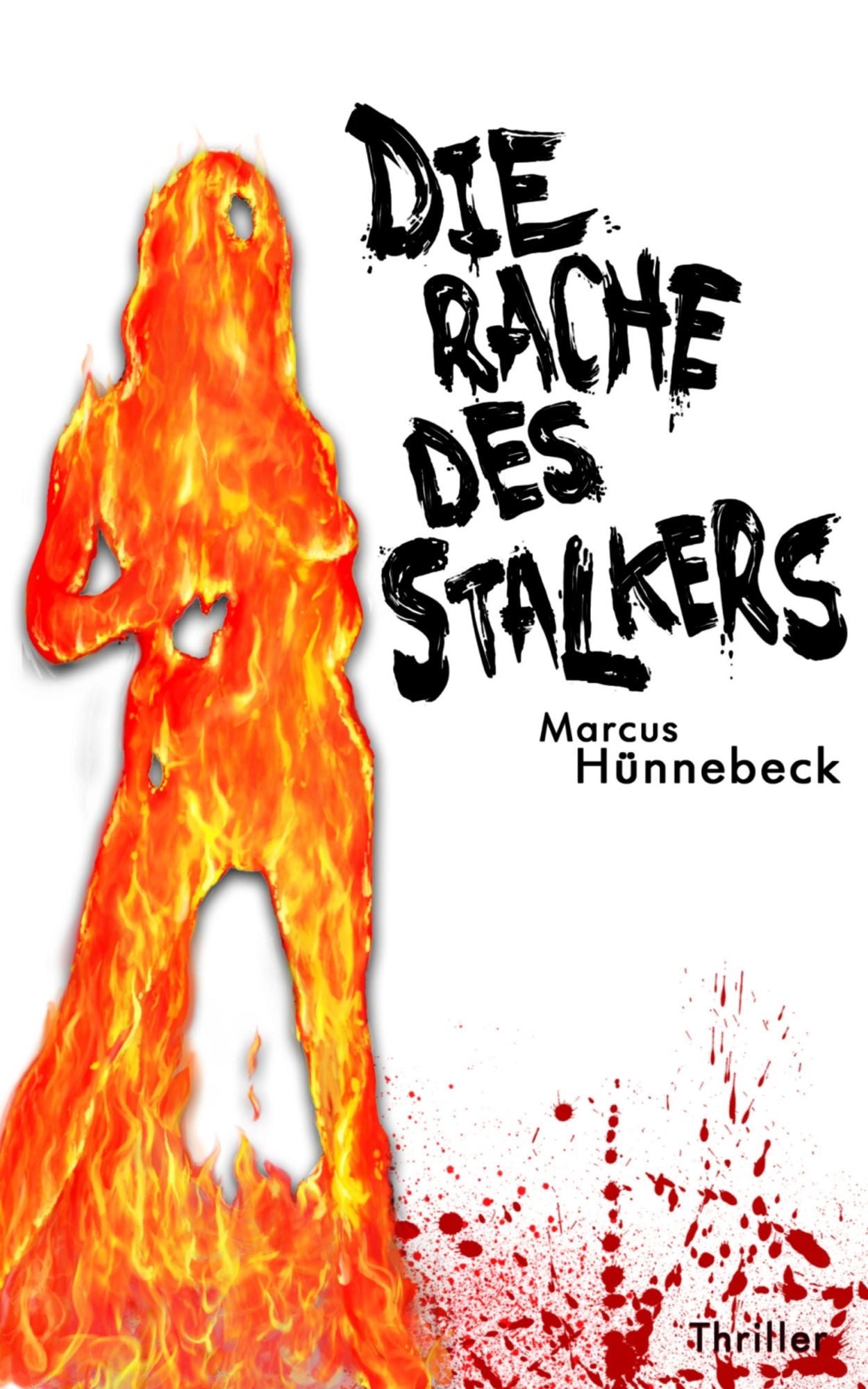 Die Rache des Stalkers