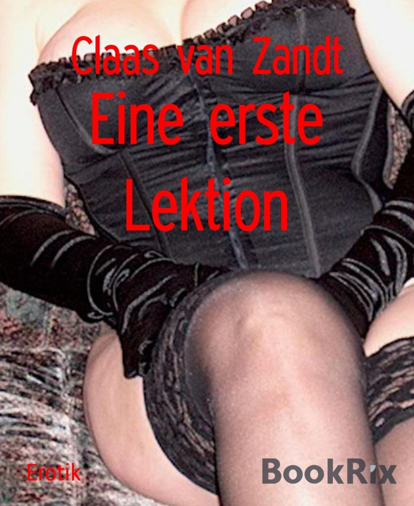 Eine erste Lektion: BDSM-Kurzgeschichten