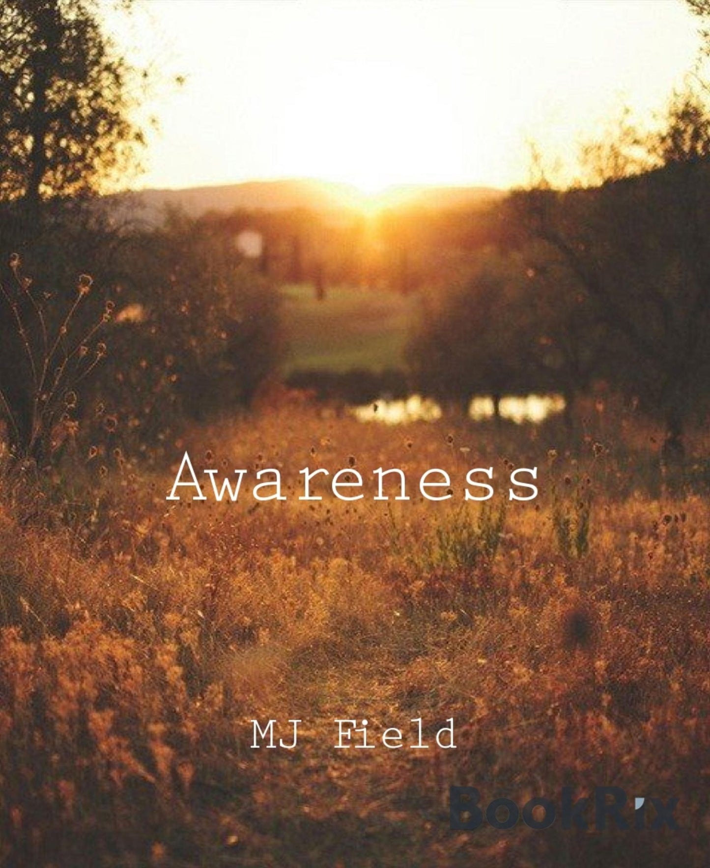 Awareness