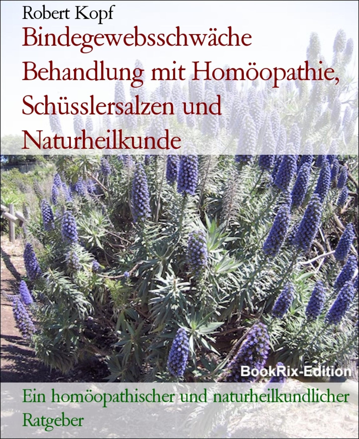 Bindegewebsschwäche - Behandlung mit Homöopathie, Schüsslersalzen (Biochemie) und Naturheilkunde: Ein homöopathischer, biochemischer und naturheilkundlicher Ratgeber