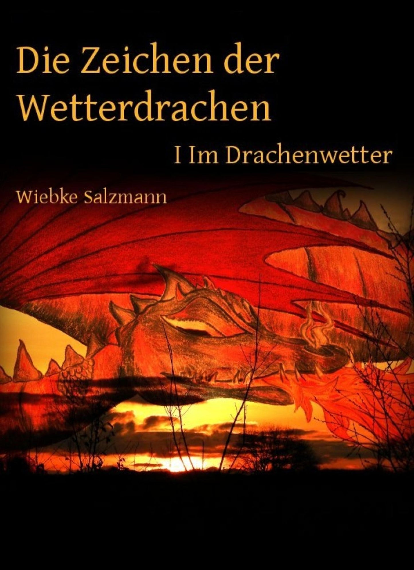Die Zeichen der Wetterdrachen: Band I: Im Drachenwetter