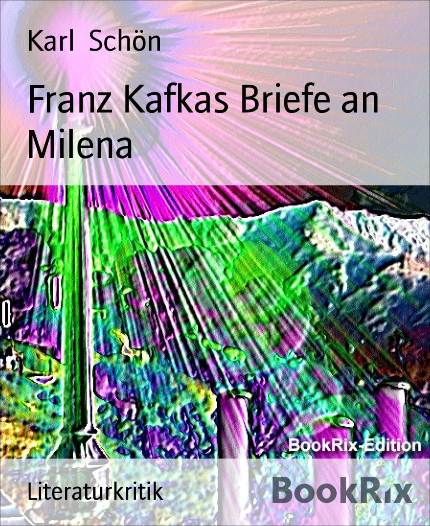 Franz Kafkas Briefe an Milena