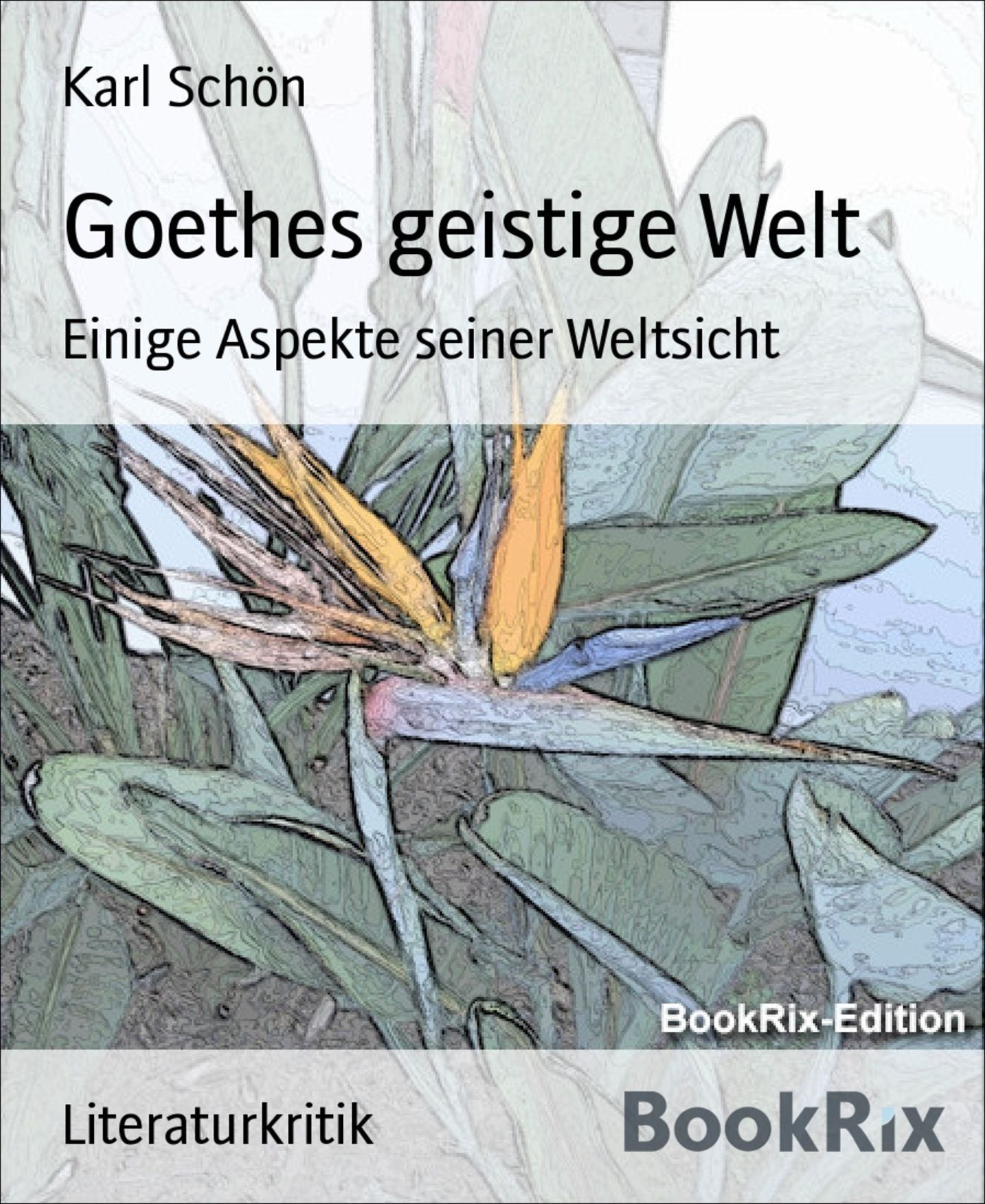 Goethes geistige Welt: Einige Aspekte seiner Weltsicht