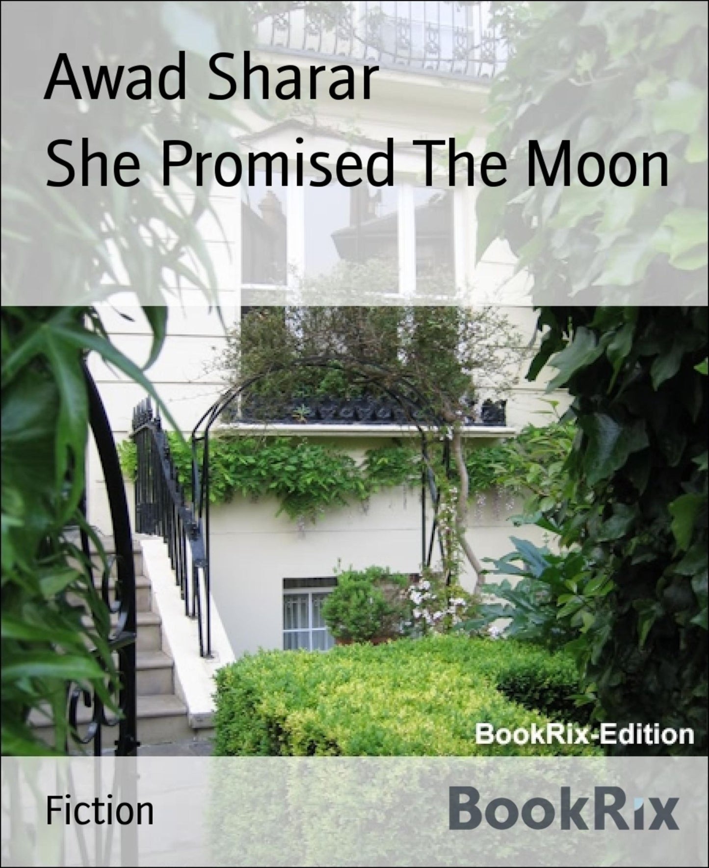 She Promised The Moon