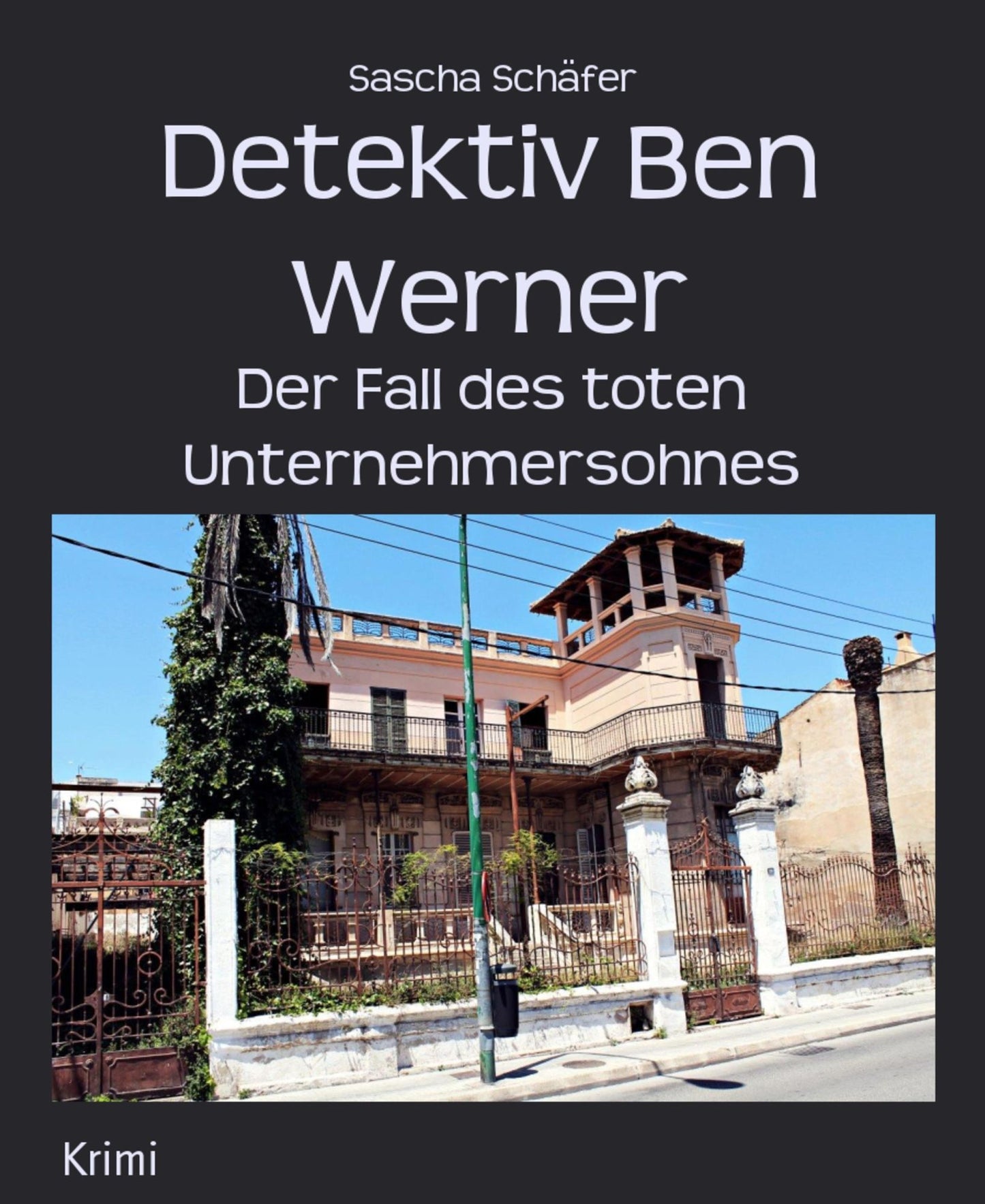 Detektiv Ben Werner: Der Fall des toten Unternehmersohnes