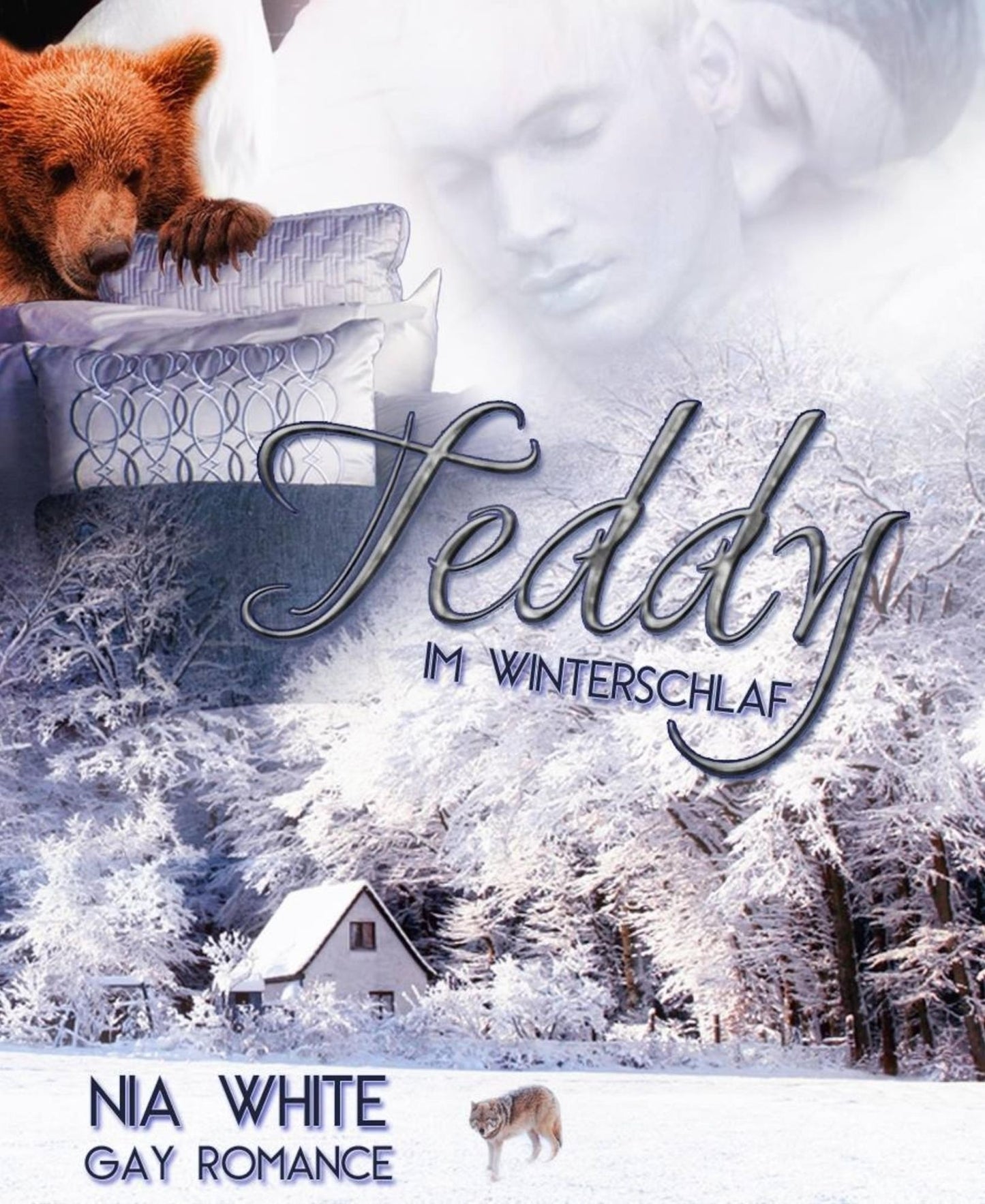 Teddy im Winterschlaf: Gay Fantasy Romance