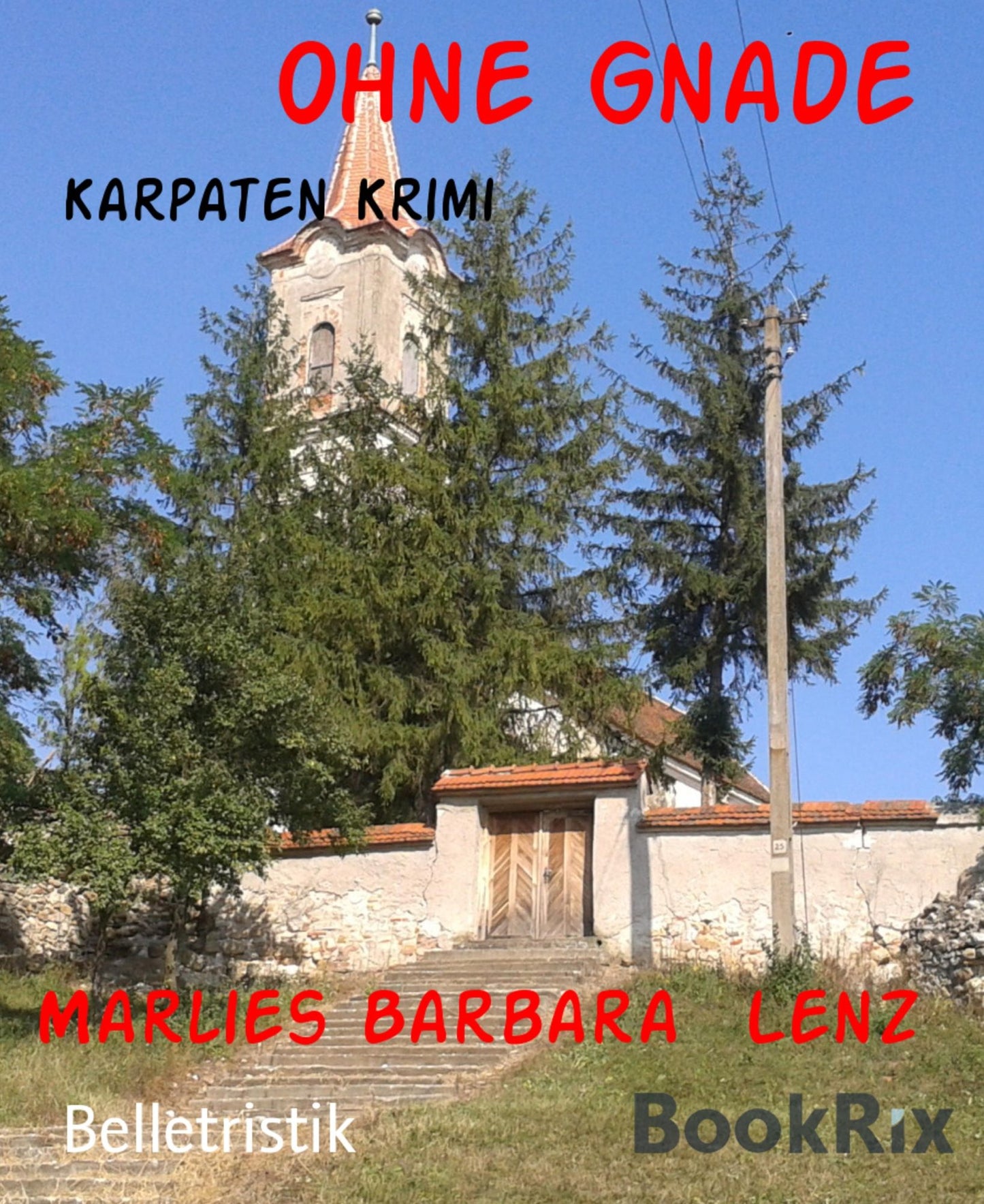 Ohne Gnade: Karpaten Krimi