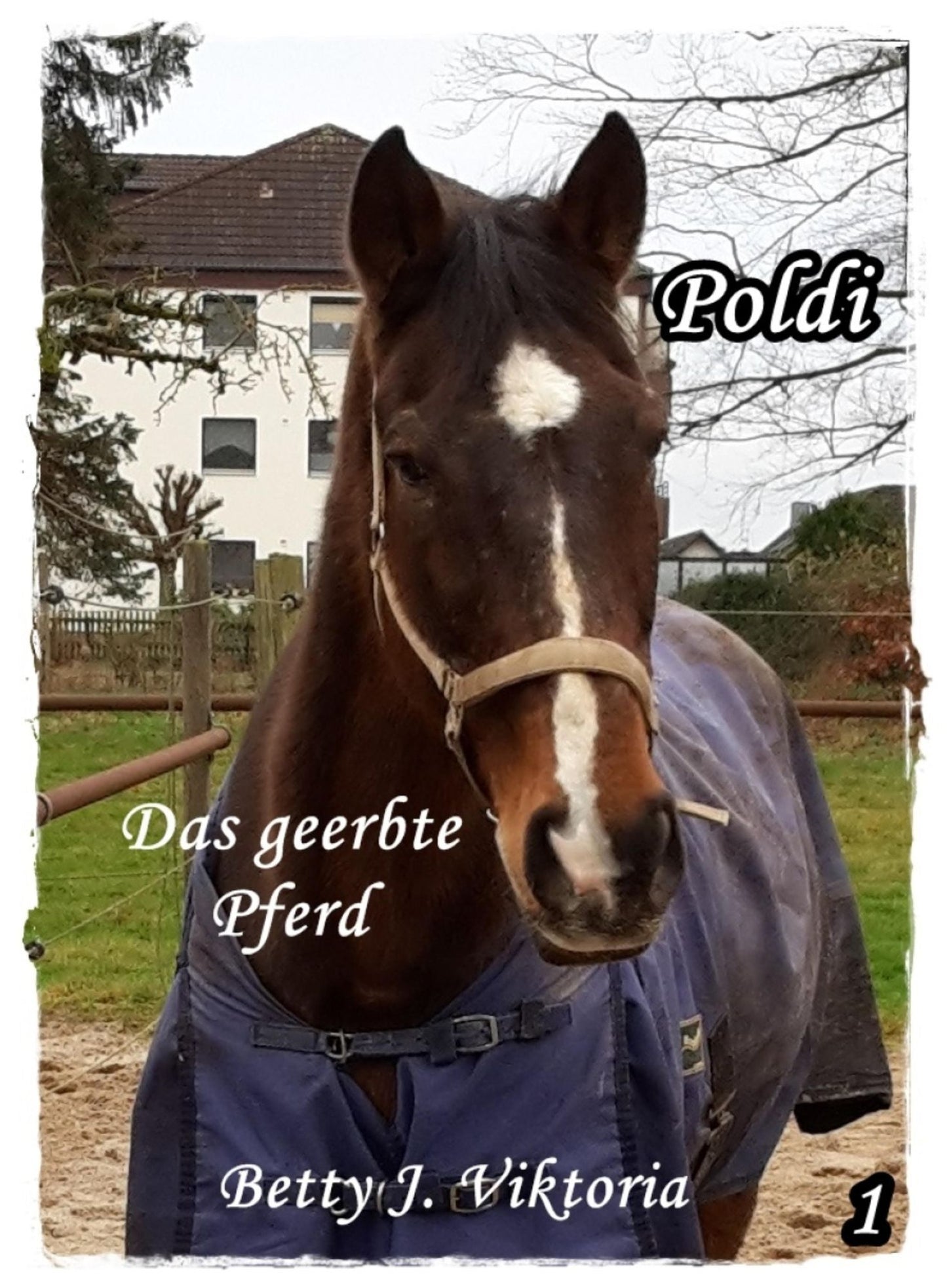 Poldi Band 1: Das geerbte Pferd