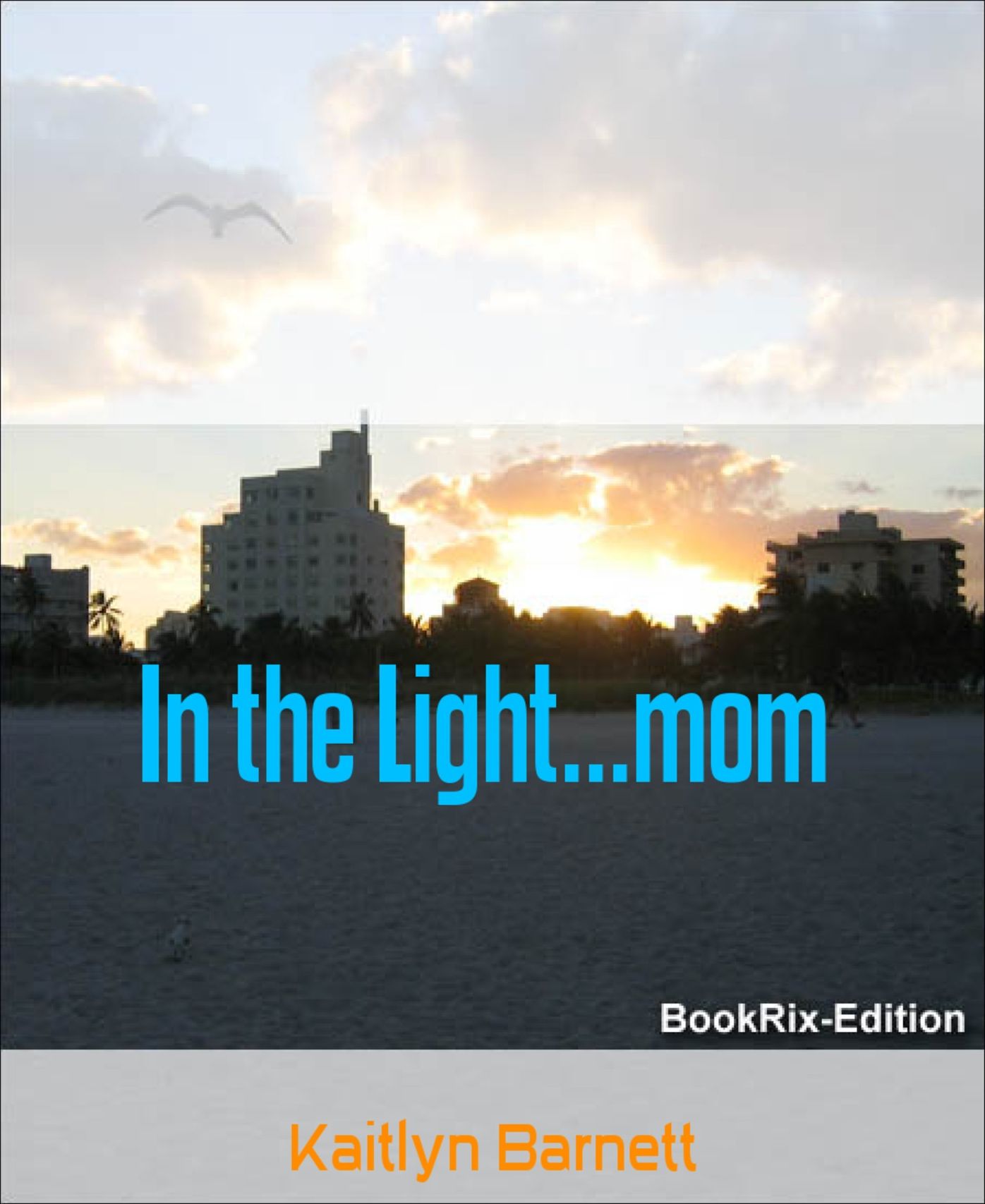 In the Light...mom: Volume One