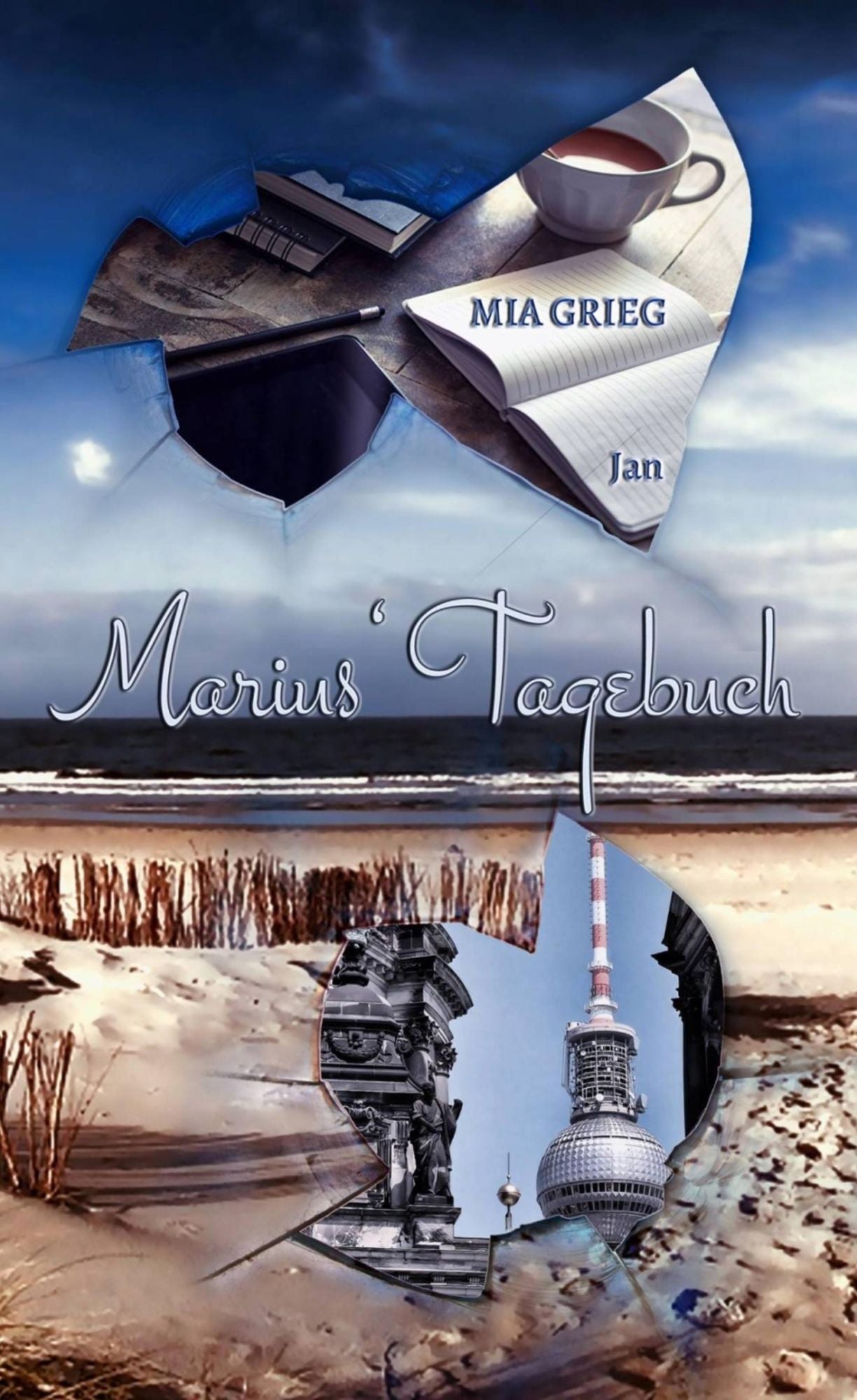 Marius' Tagebuch: Januar