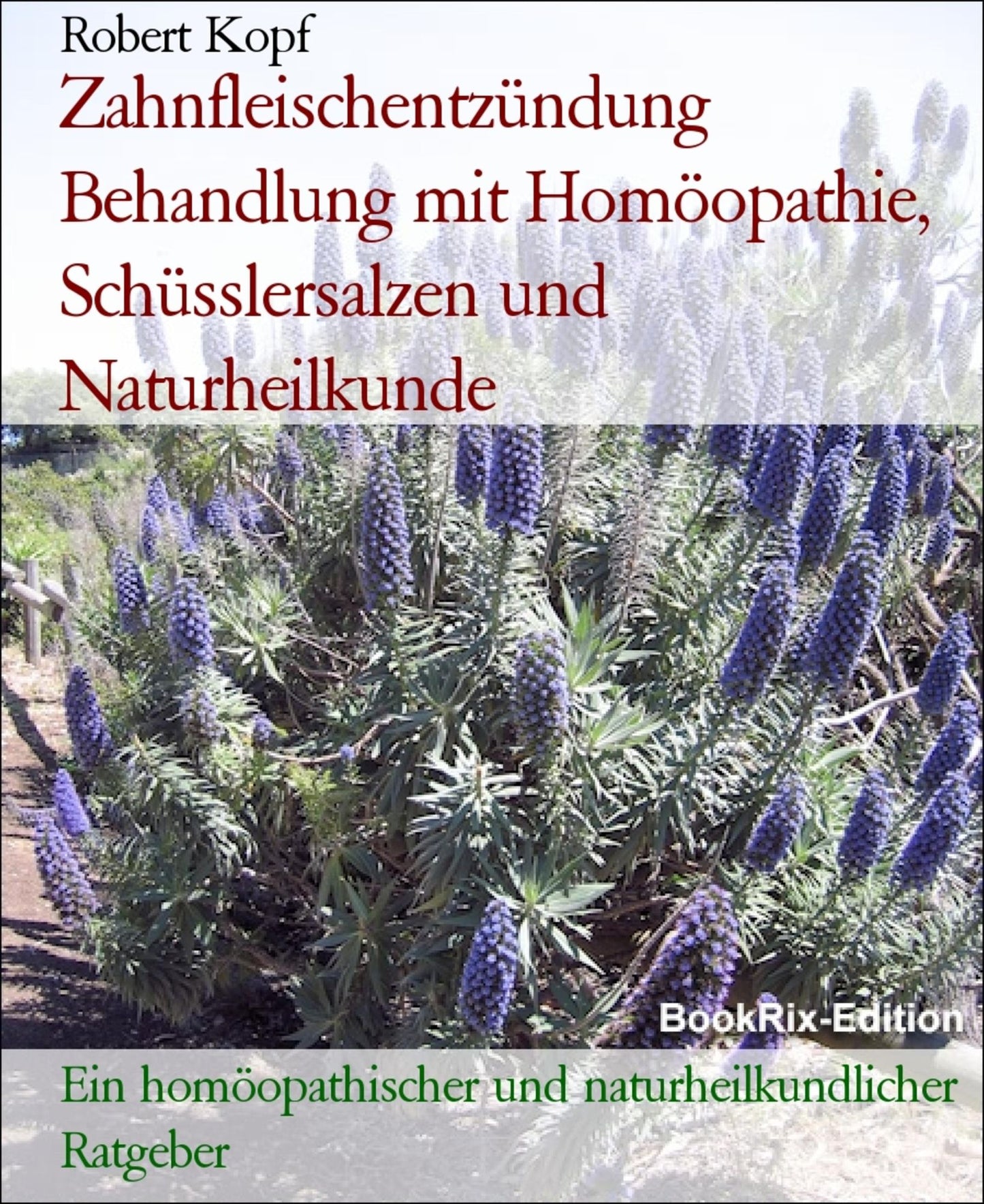 Zahnfleischentzündung - Gingivitis behandeln mit Homöopathie, Schüsslersalzen (Biochemie) und Naturheilkunde: Ein homöopathischer, biochemischer und naturheilkundlicher Ratgeber