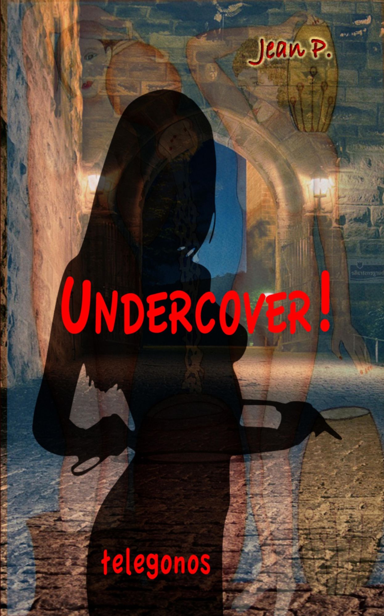 Undercover!: Das Buch zur Serie