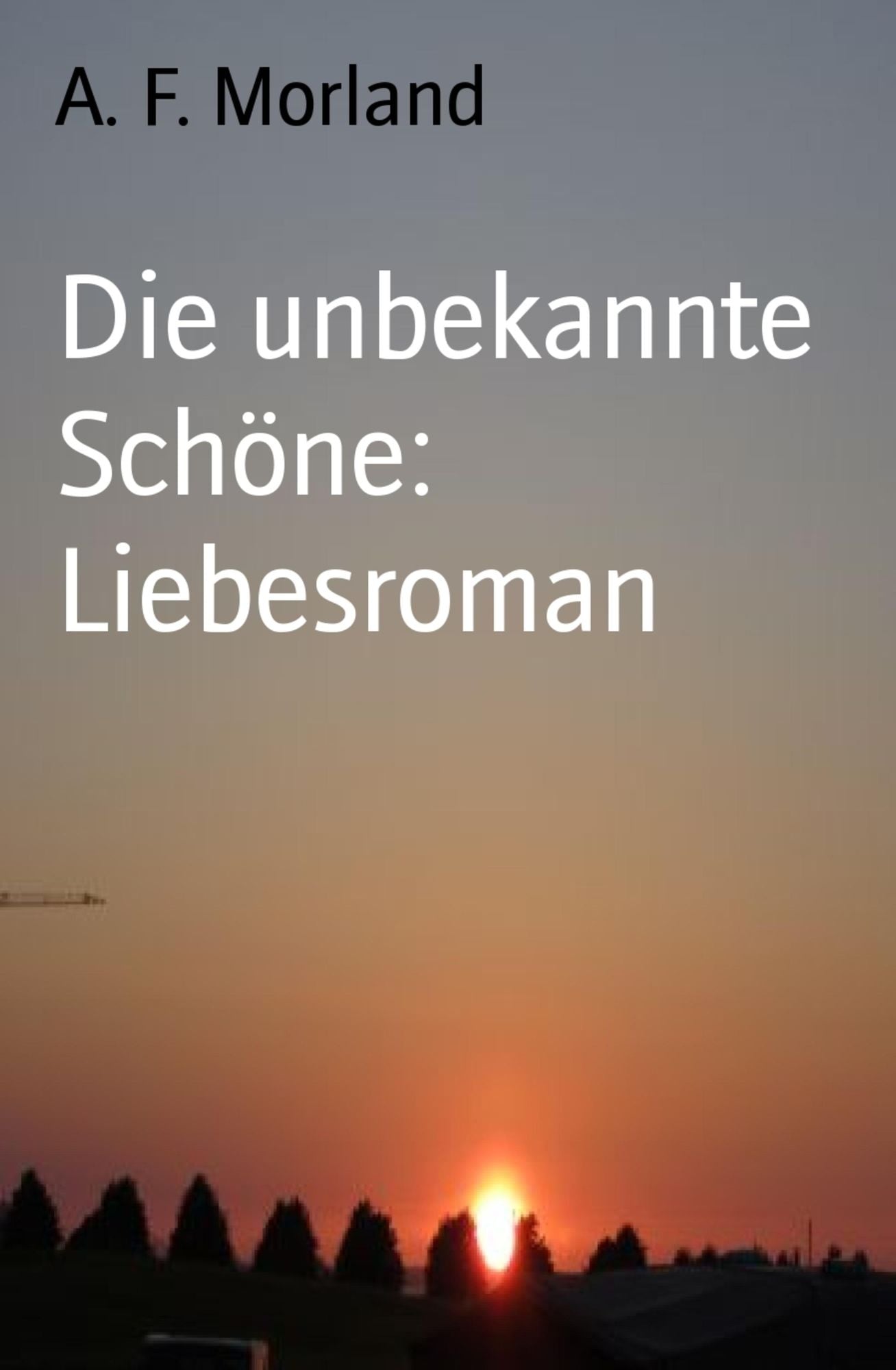 Die unbekannte Schöne: Liebesroman