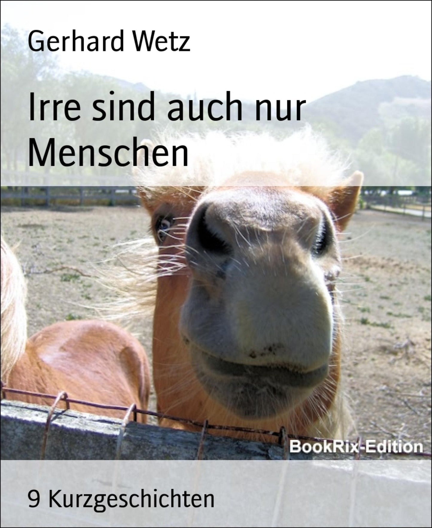 Irre sind auch nur Menschen: 9 Kurzgeschichten