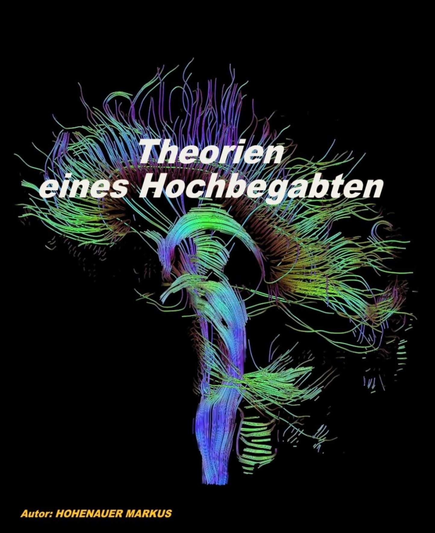Theorien eines Hoch-Begabten: ... oder wie ich das Leben empfinde