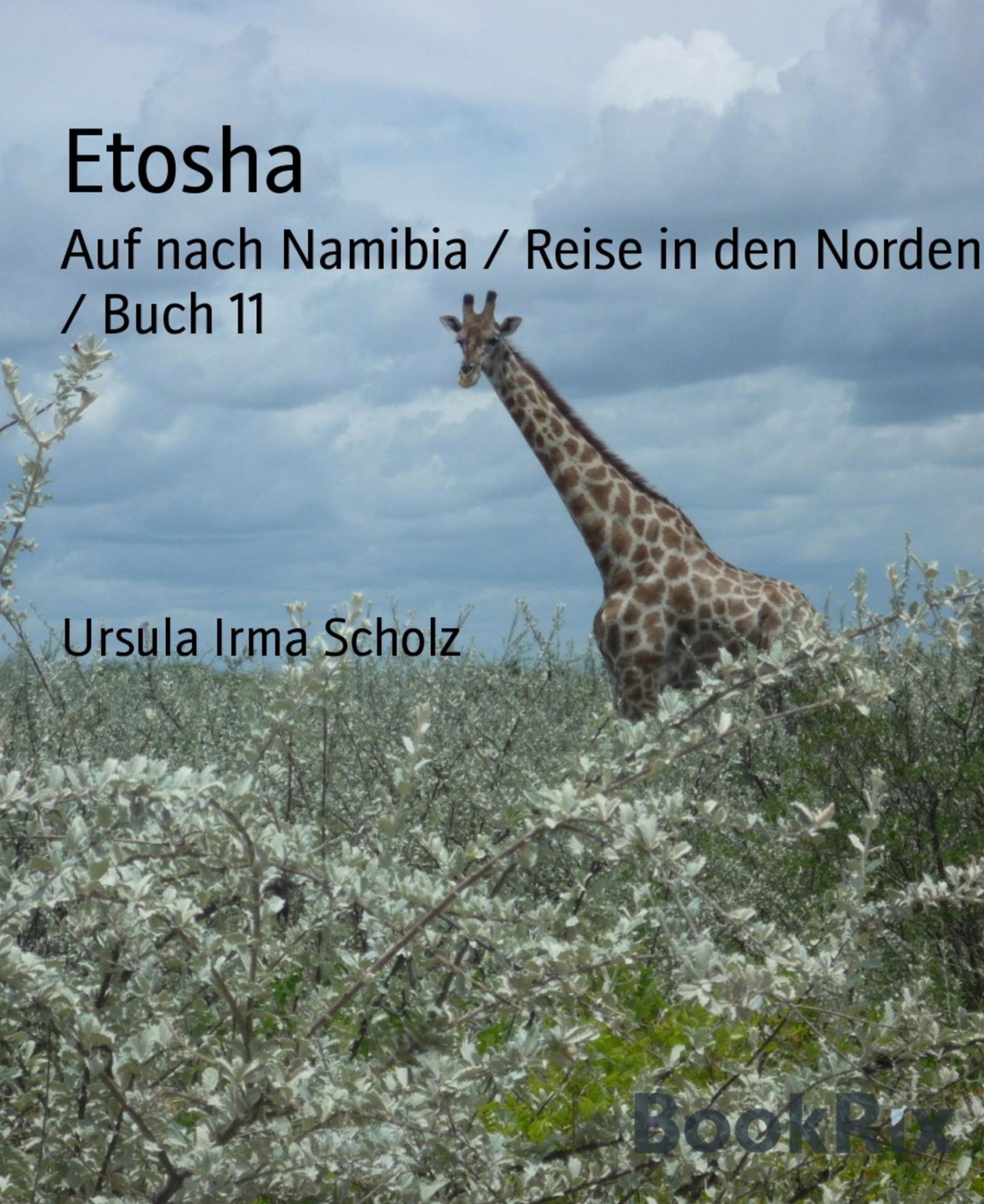 Etosha: Auf nach Namibia / Reise in den Norden / Buch 11