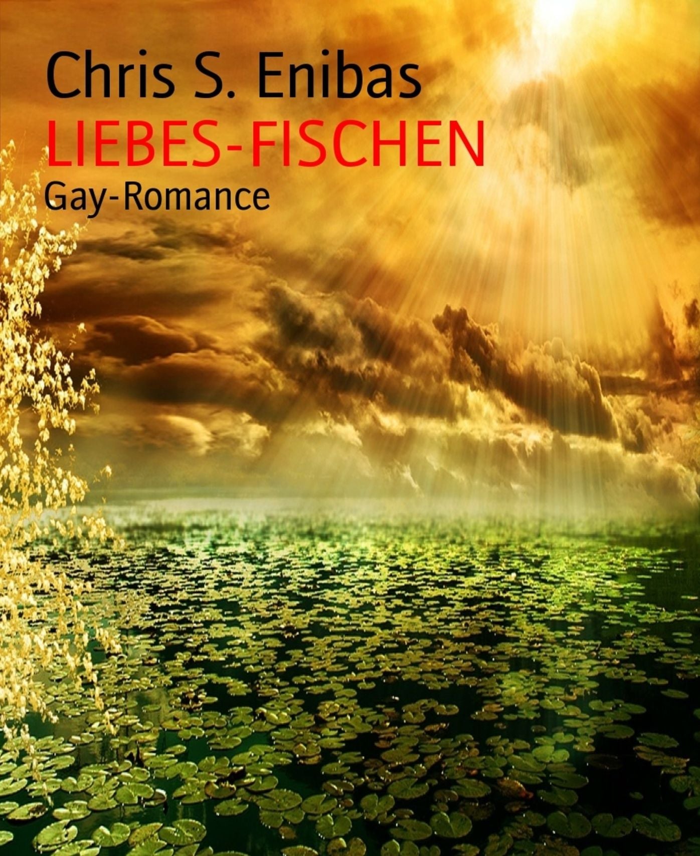LIEBES-FISCHEN: Gay-Romance