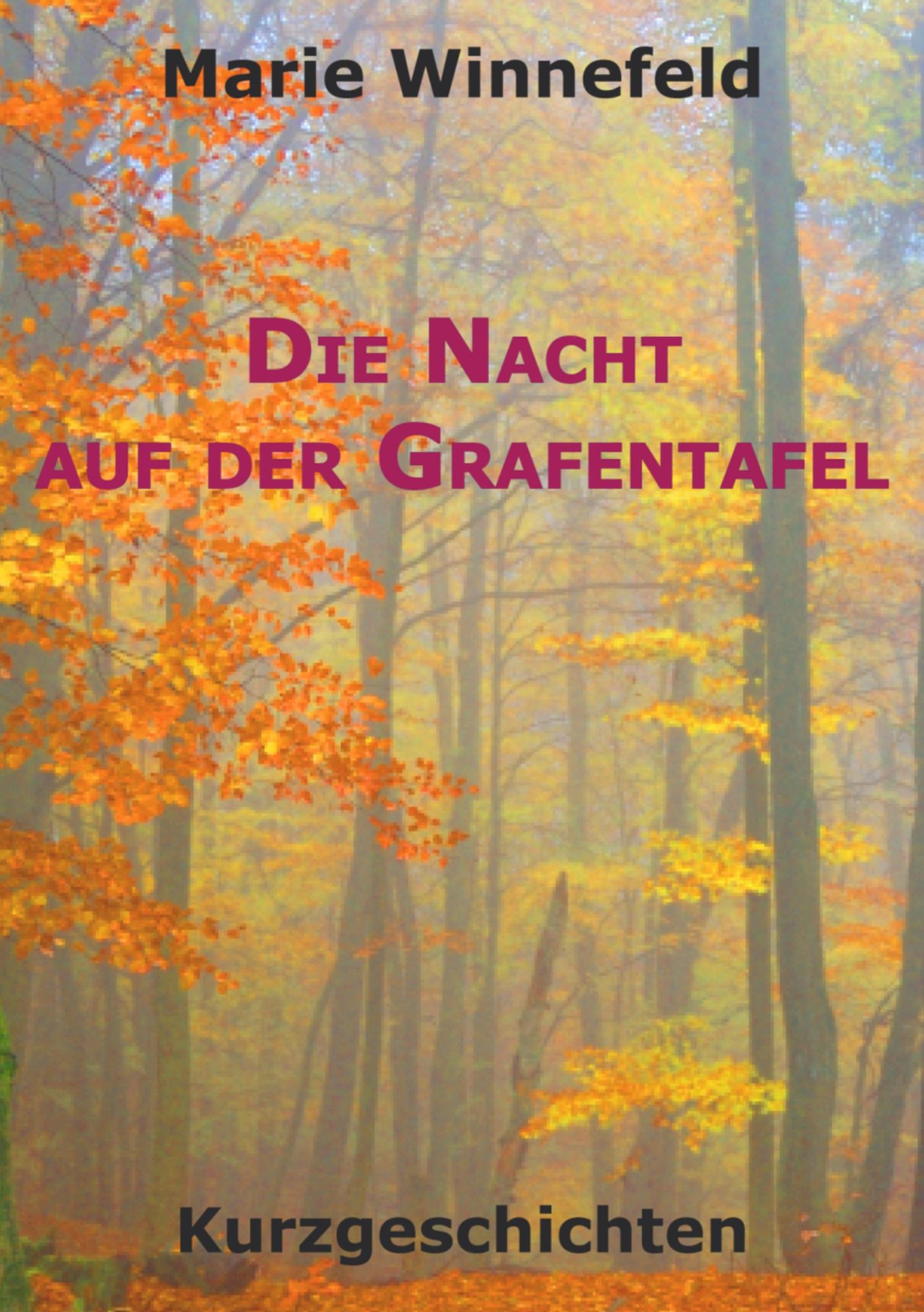 Die Nacht auf der Grafentafel