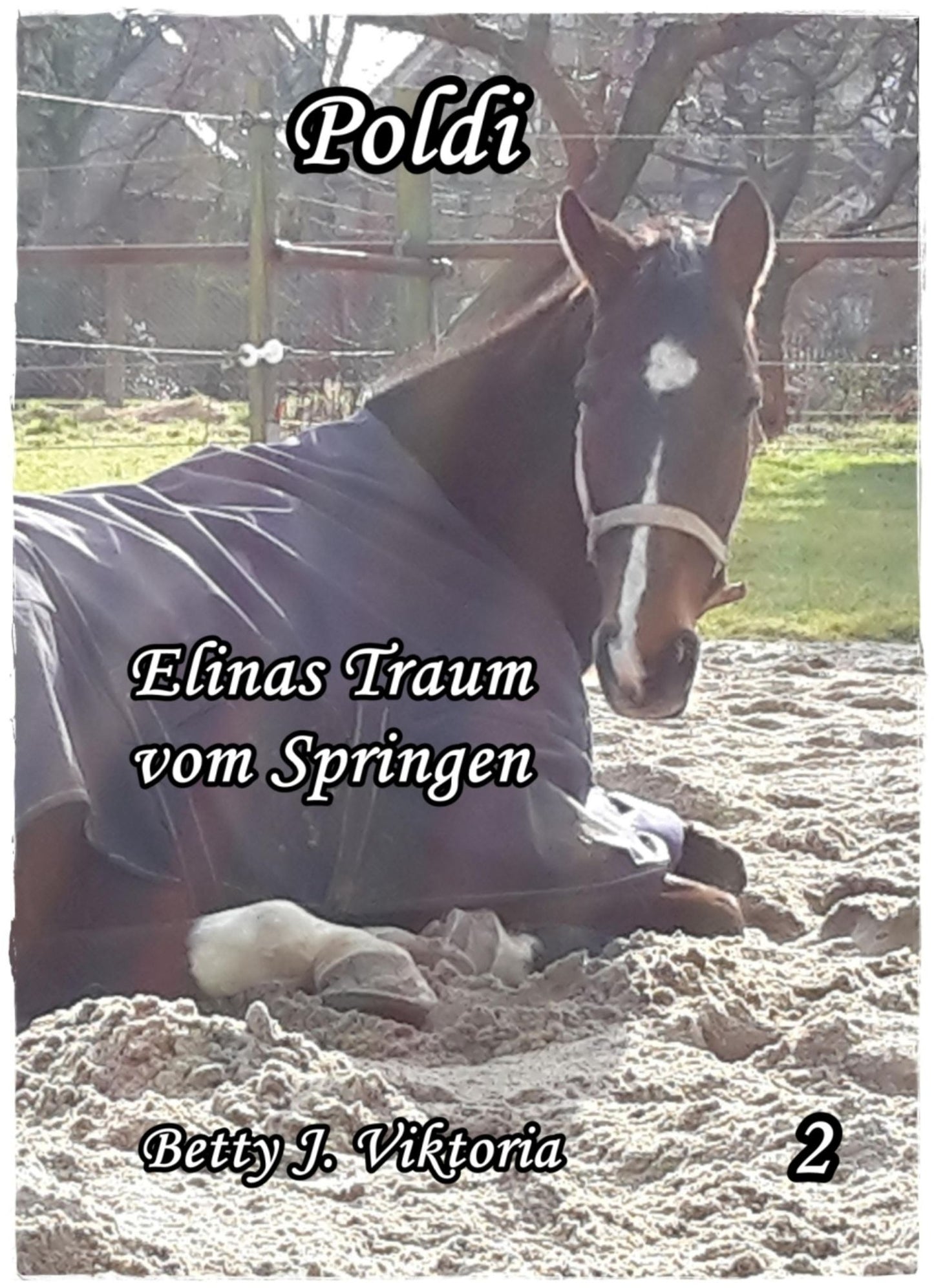 Poldi Band 2: Elinas Traum vom Springen