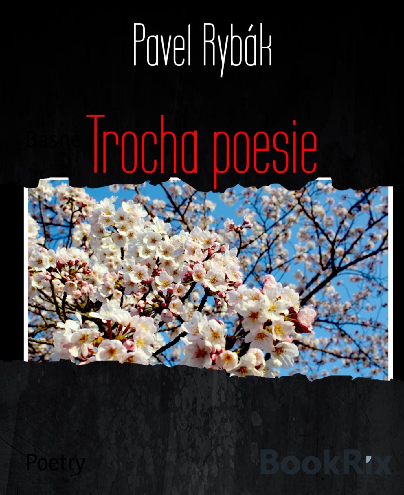 Trocha poesie: Básn