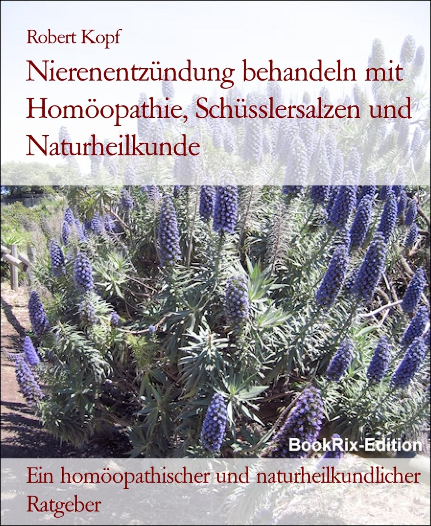 Nierenentzündung, Nephritis - Behandlung mit Homöopathie, Schüsslersalzen (Biochemie) und Naturheilkunde: Ein homöopathischer, biochemischer und naturheilkundlicher Ratgeber