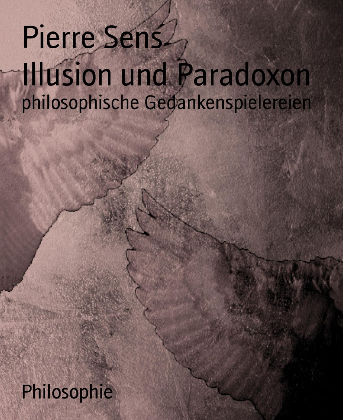 Illusion und Paradoxon: philosophische Gedankenspielereien