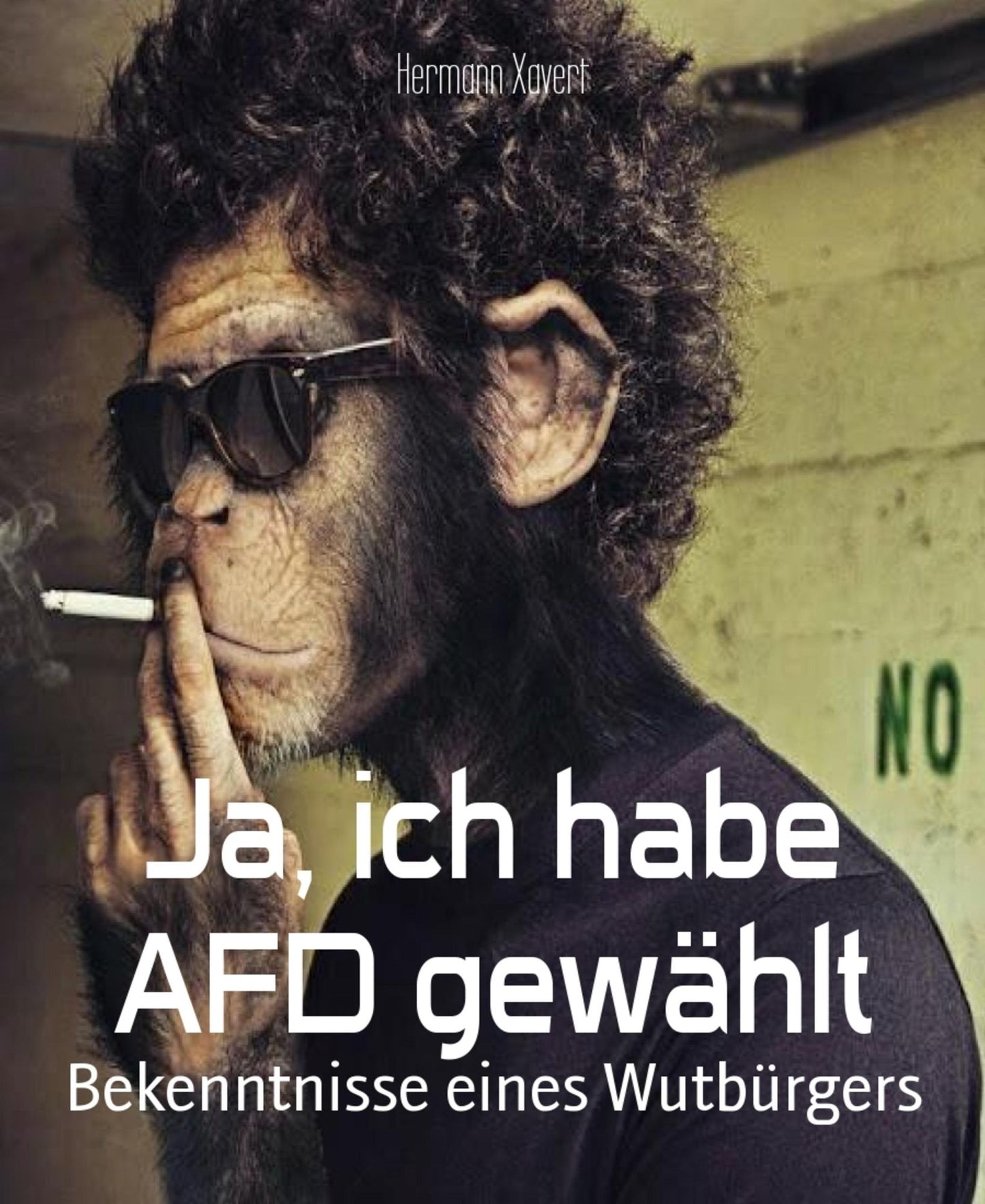 Ja, ich habe AFD gewählt: Bekenntnisse eines Wutbürgers