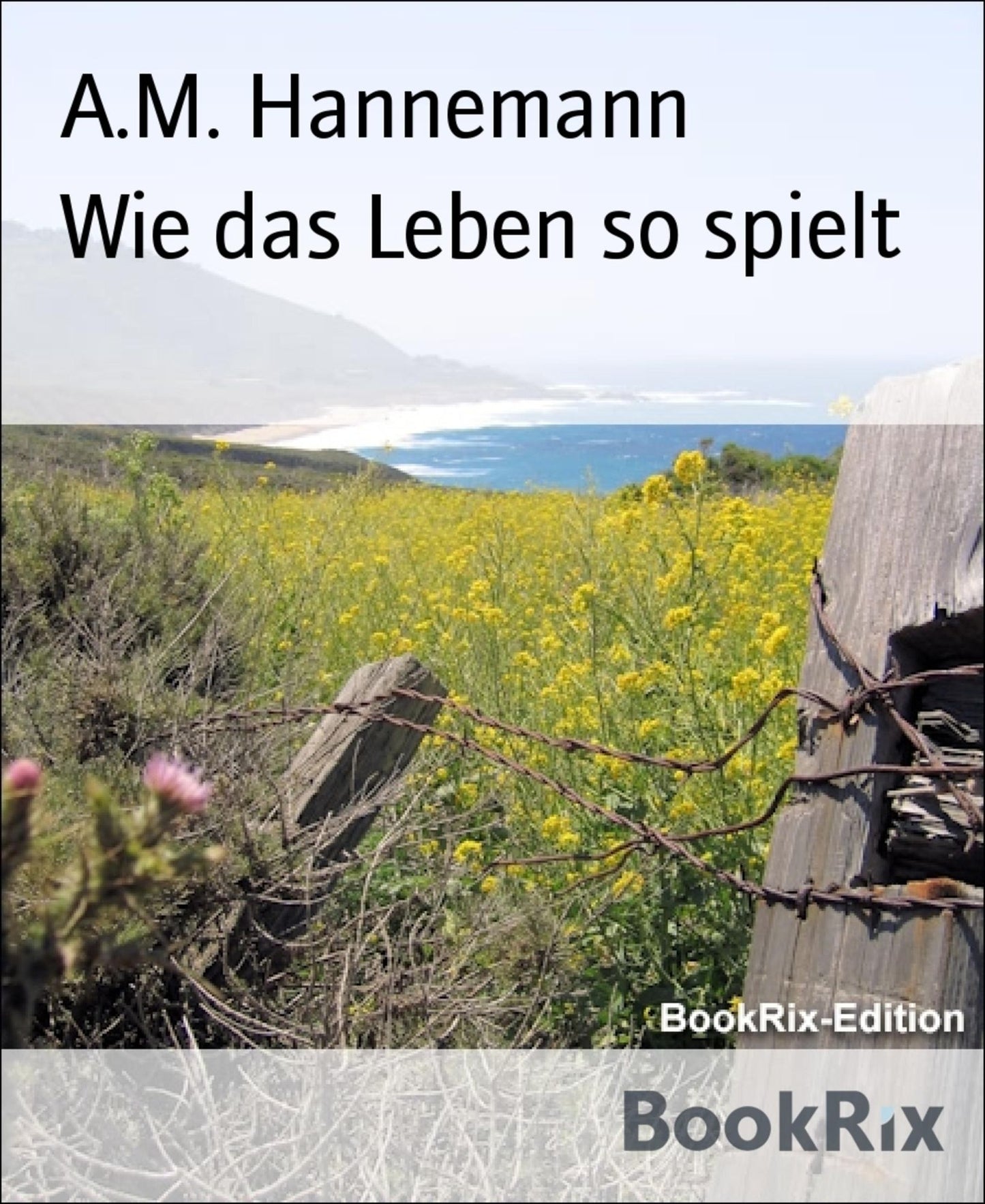 Wie das Leben so spielt: Meine gesammelten Kurzgeschichten