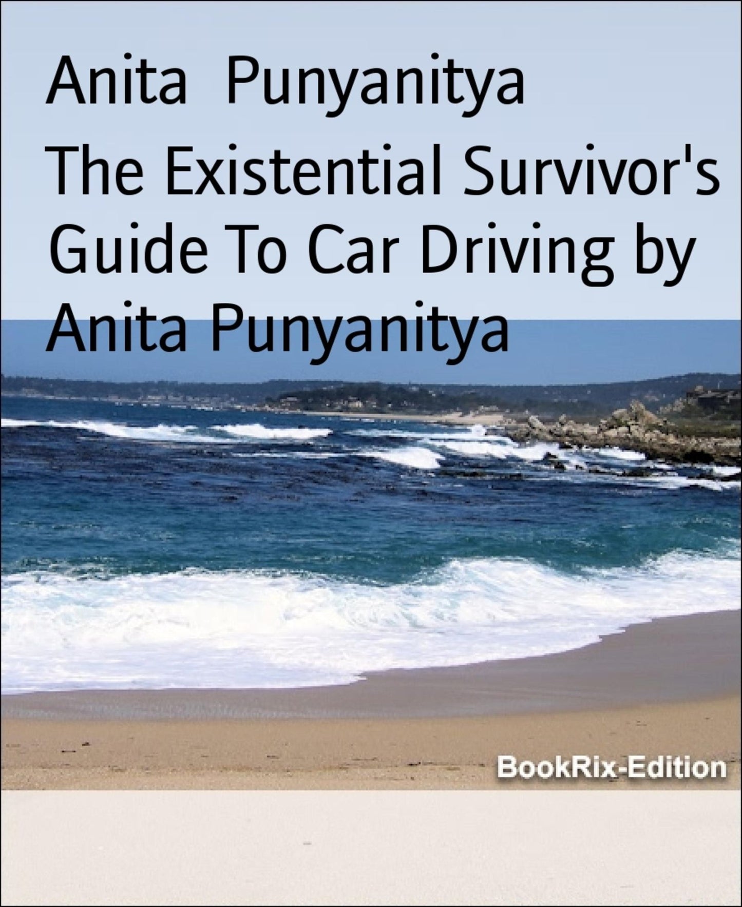 The Existential Survivor's Guide To Car Driving by Anita Punyanitya: Drive and love it - Look after your car, and be in a good mind state.
