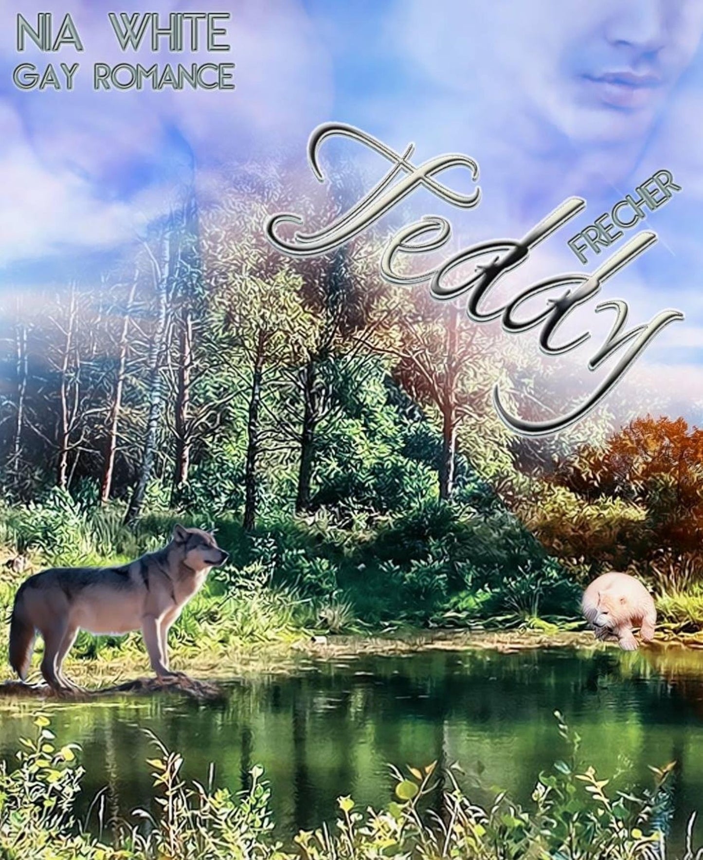 Frecher Teddy: Gay Fantasy Romance