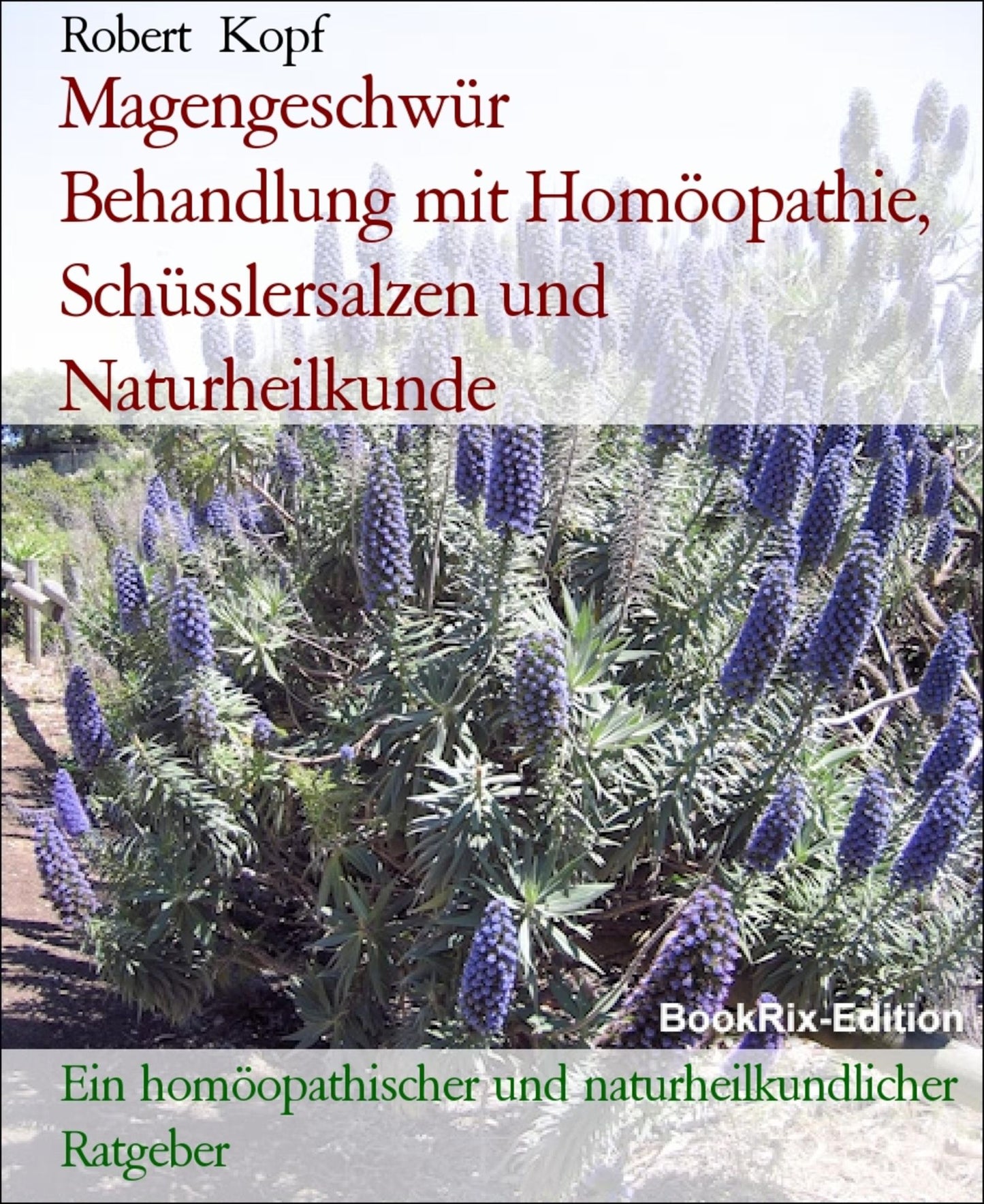 Magengeschwür, Ulcus ventriculi - Magenulkus behandeln mit Homöopathie, Schüsslersalzen (Biochemie) und Naturheilkunde: Ein homöopathischer, biochemischer und naturheilkundlicher Ratgeber