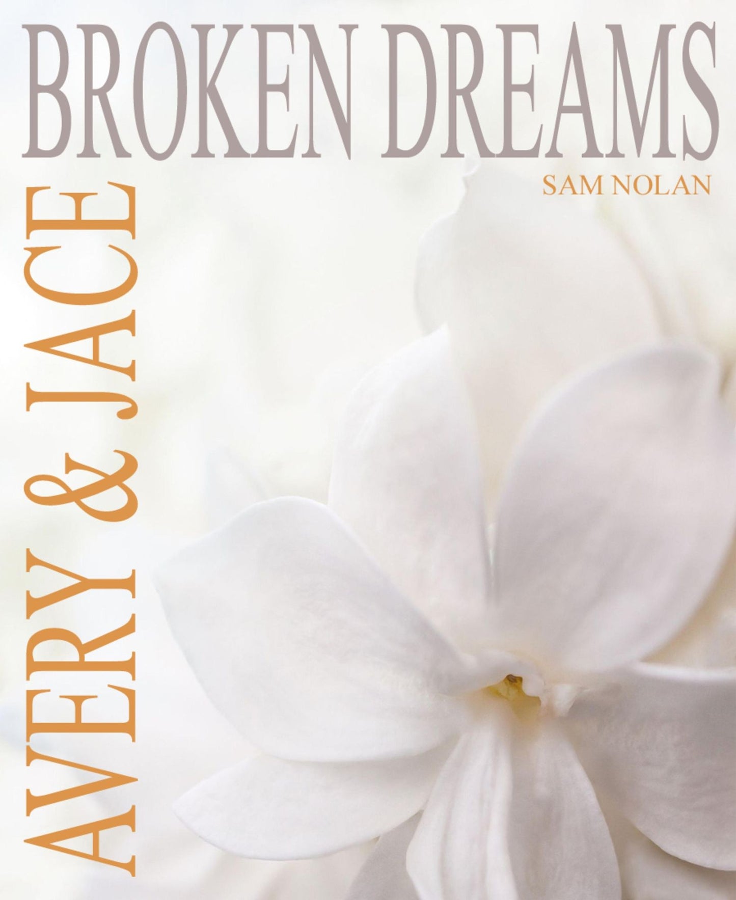 Broken Dreams: Gay Romance