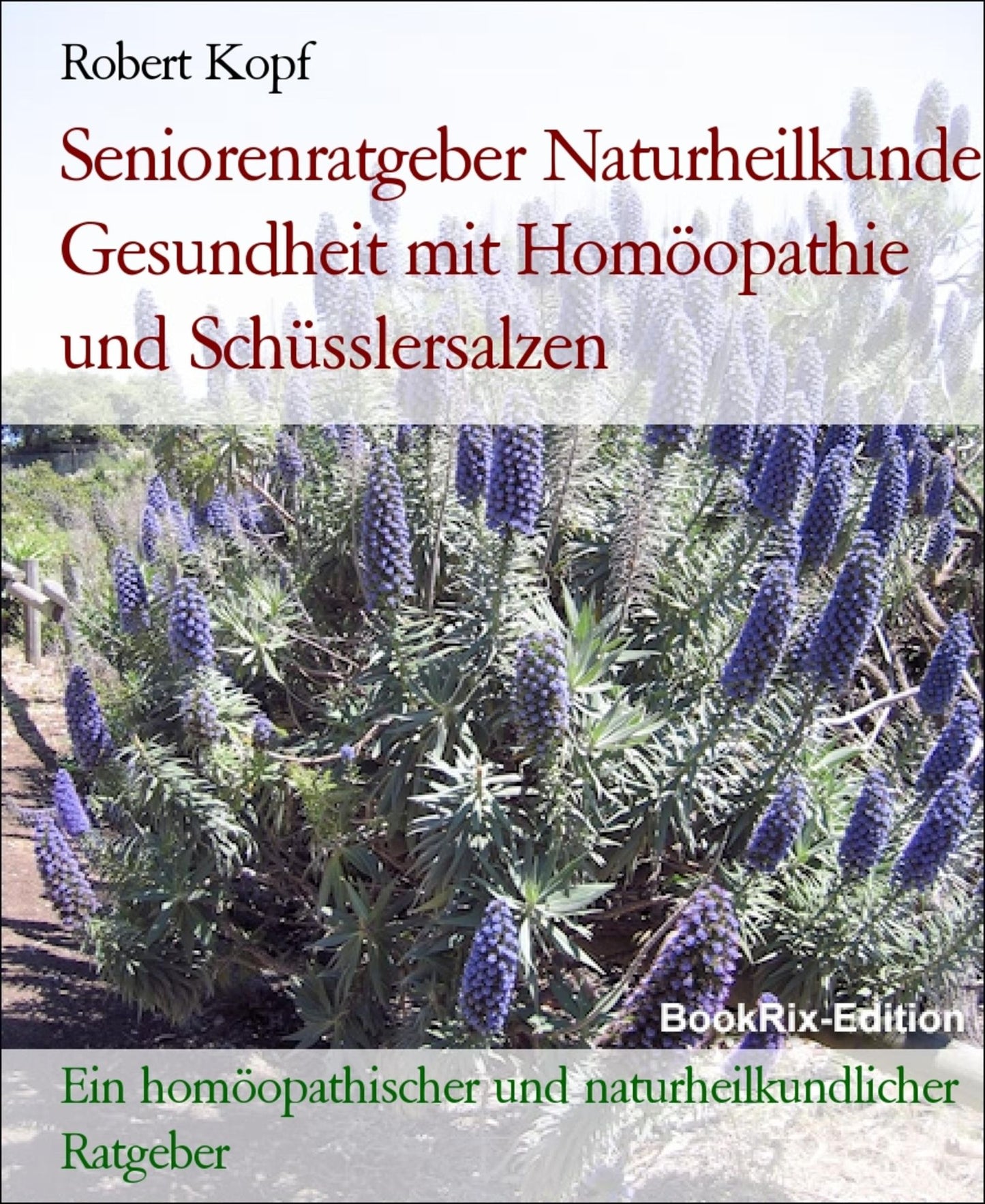 Seniorenratgeber Naturheilkunde Gesundheit und Vitalität im Alter mit Homöopathie und Schüsslersalzen (Biochemie): Ein homöopathischer, biochemischer und naturheilkundlicher Ratgeber für Senioren