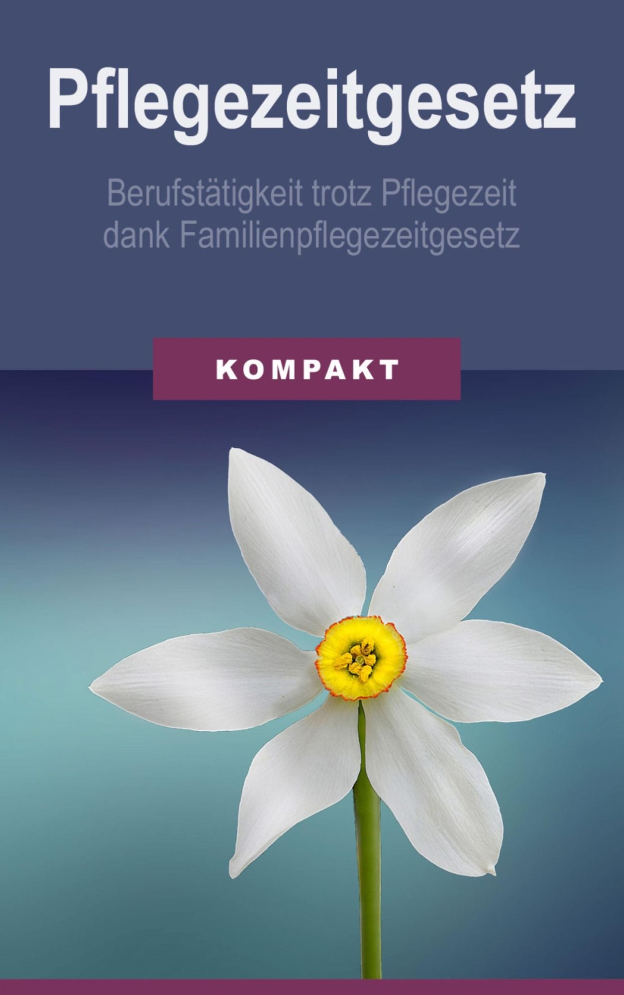 Pflegezeitgesetz - Berufstätigkeit trotz Pflegezeit dank Familienpflegezeitgesetz