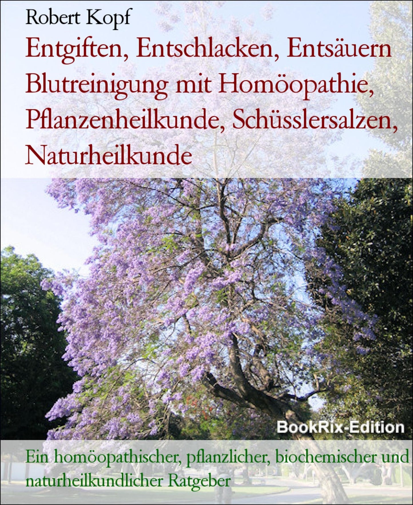 Entgiften, Entschlacken, Entsäuern Blutreinigung mit Homöopathie, Pflanzenheilkunde, Schüsslersalzen, Naturheilkunde: Ein homöopathischer, pflanzlicher, biochemischer und naturheilkundlicher Ratgeber