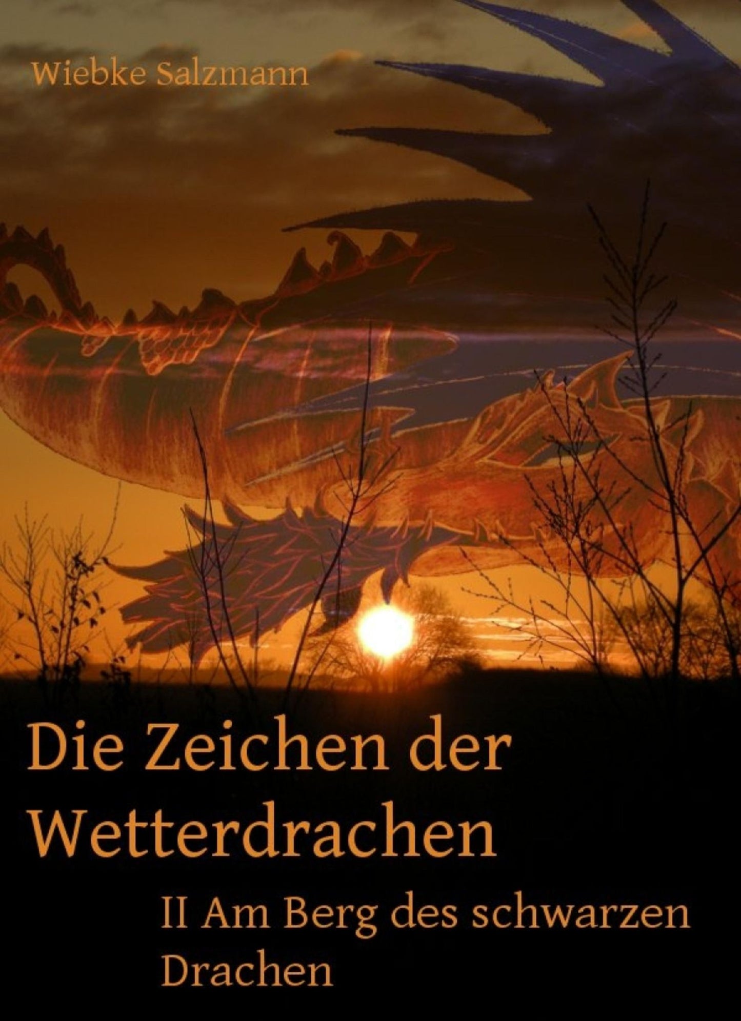 Die Zeichen der Wetterdrachen: Band II: Am Berg des schwarzen Drachen