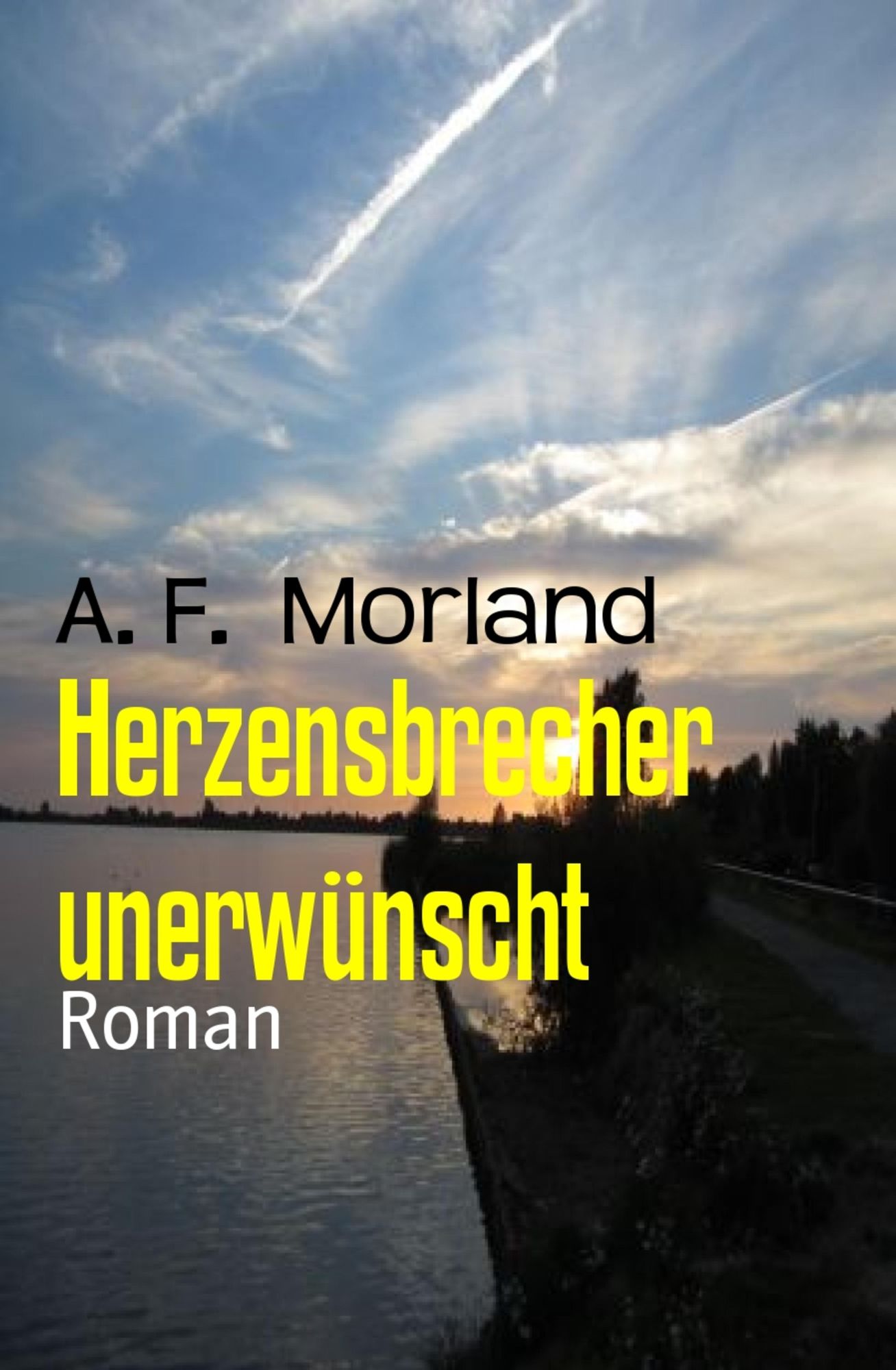 Herzensbrecher unerwünscht: Roman