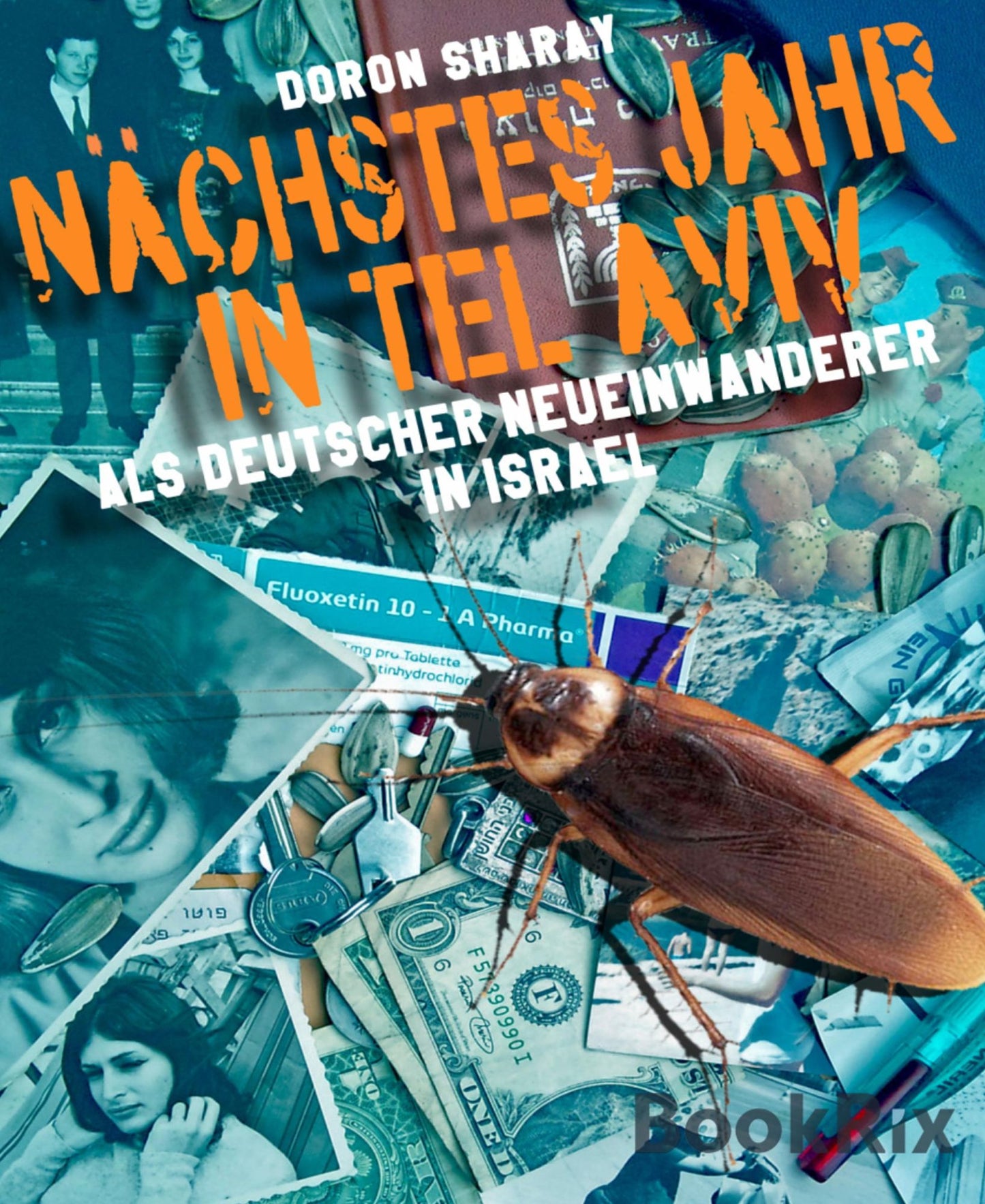 Nächstes Jahr in Tel Aviv: Ein Neueinwanderer aus Berlin in Israel- eine Biographie