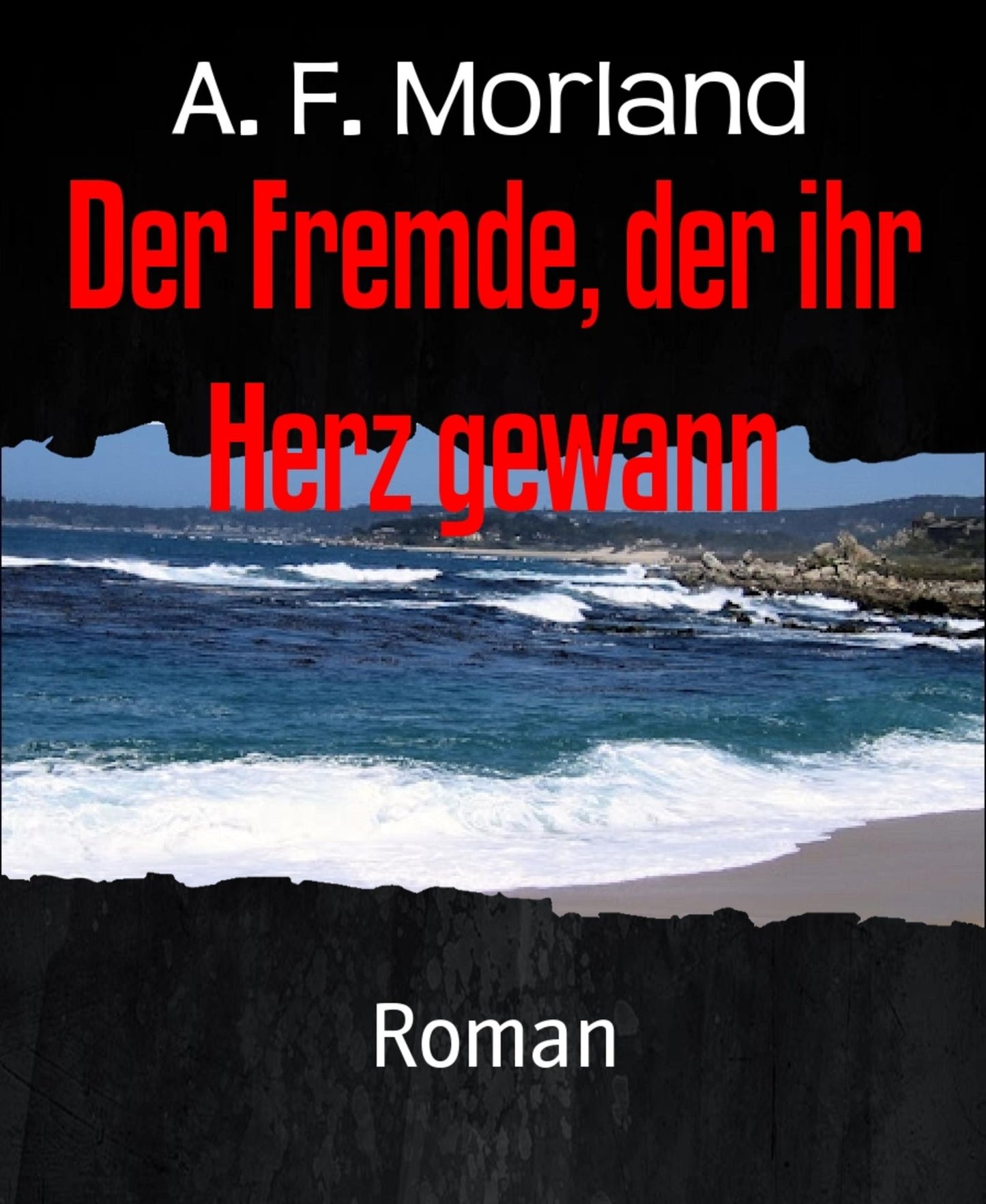 Der Fremde, der ihr Herz gewann: Roman