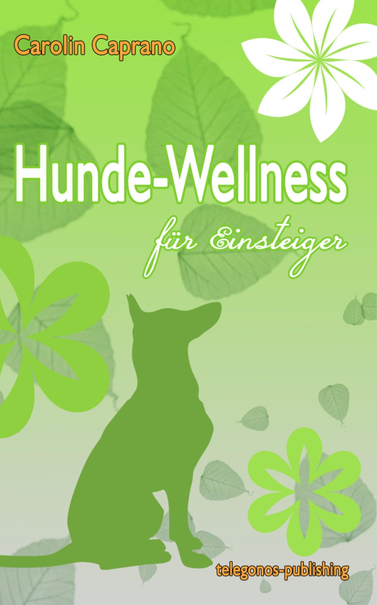 Hundewellness für Einsteiger