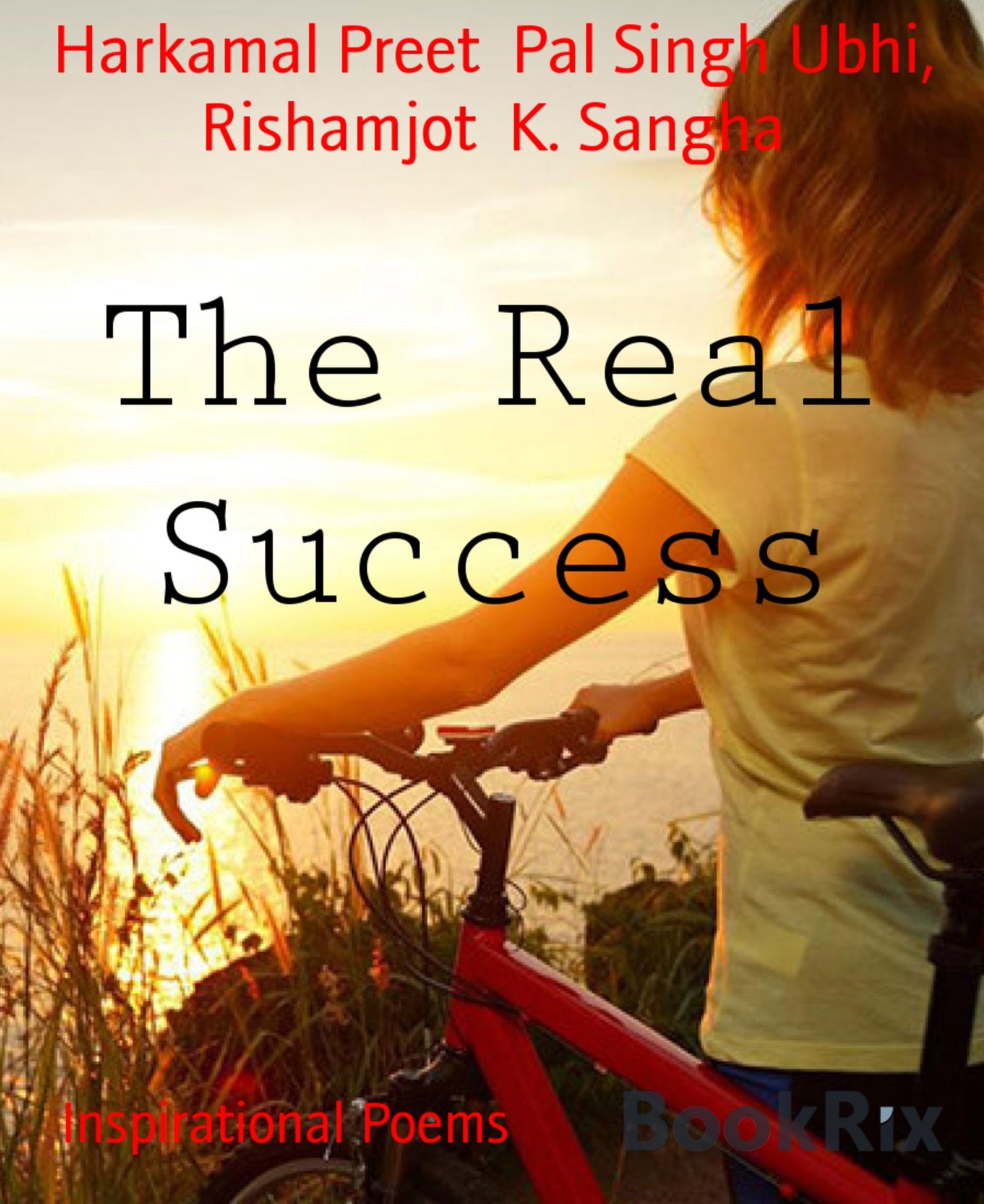 The Real Success: Inspirational Poems