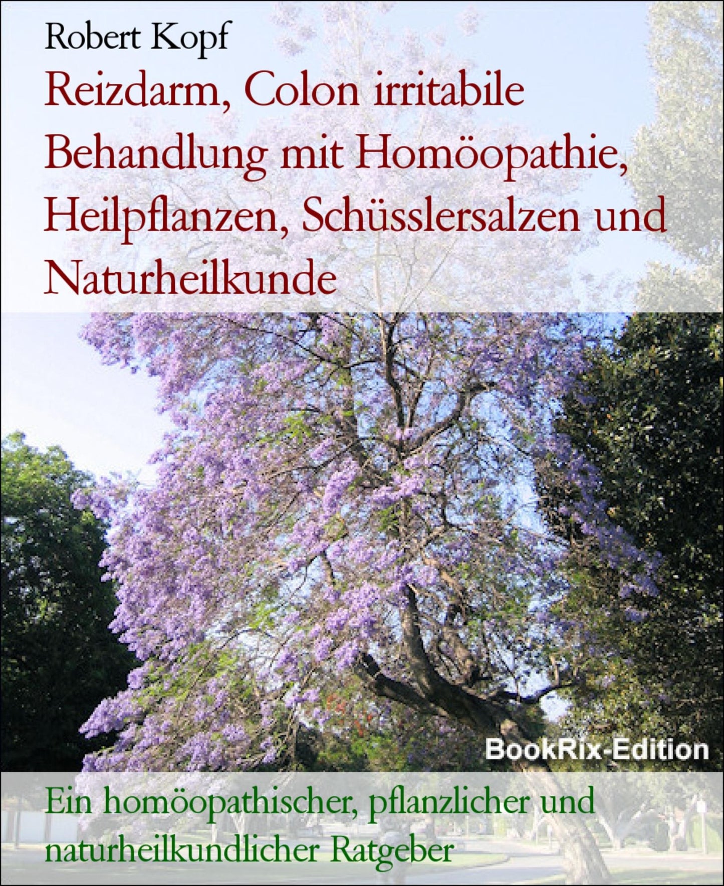 Reizdarm, Colon irritabile - Behandlung mit Homöopathie, Pflanzenheilkunde, Schüsslersalzen und Naturheilkunde: Ein homöopathischer, pflanzlicher, biochemischer und naturheilkundlicher Ratgeber
