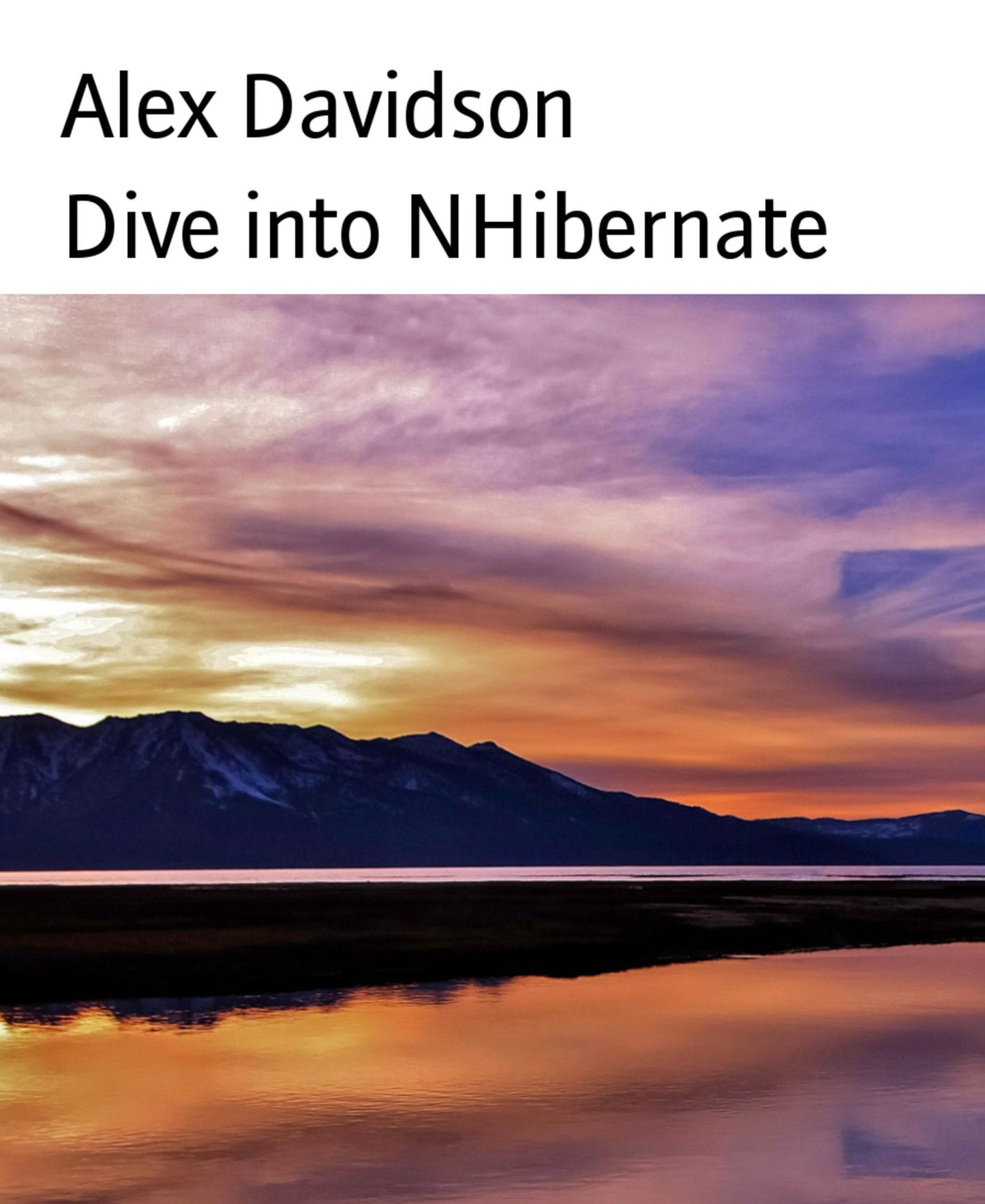 Dive into NHibernate