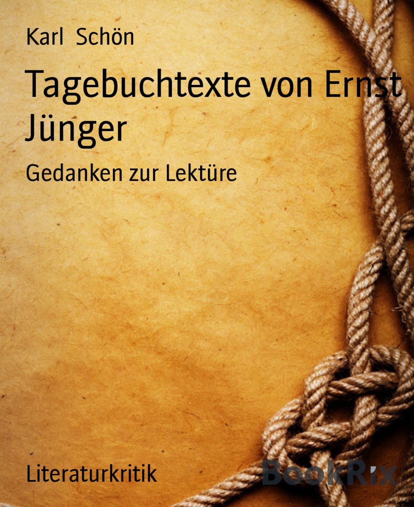 Tagebuchtexte von Ernst Jünger: Gedanken zur Lektüre