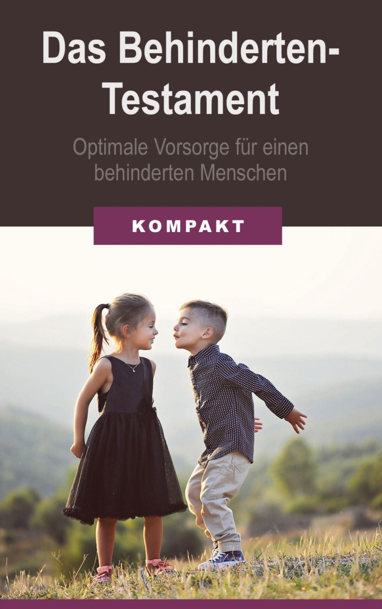 Das Behindertentestament - optimale Vorsorge für einen behinderten Menschen
