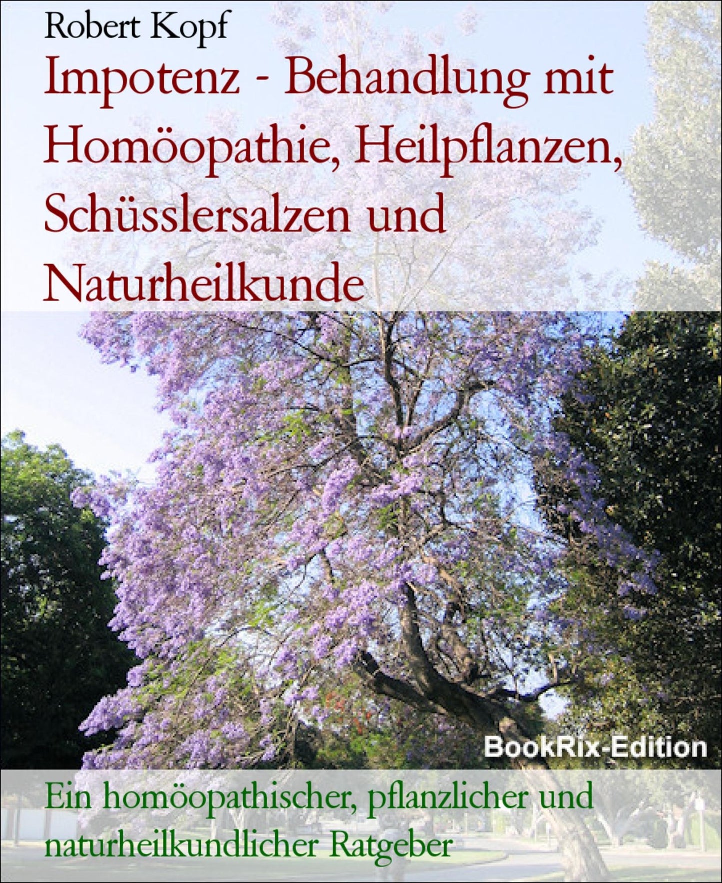 Impotenz, Potenzprobleme - Potenzstörungen behandeln mit Homöopathie, Pflanzenheilkunde, Schüsslersalzen, Naturheilkunde: Ein homöopathischer, pflanzlicher, biochemischer und naturheilkundlicher Ratgeber