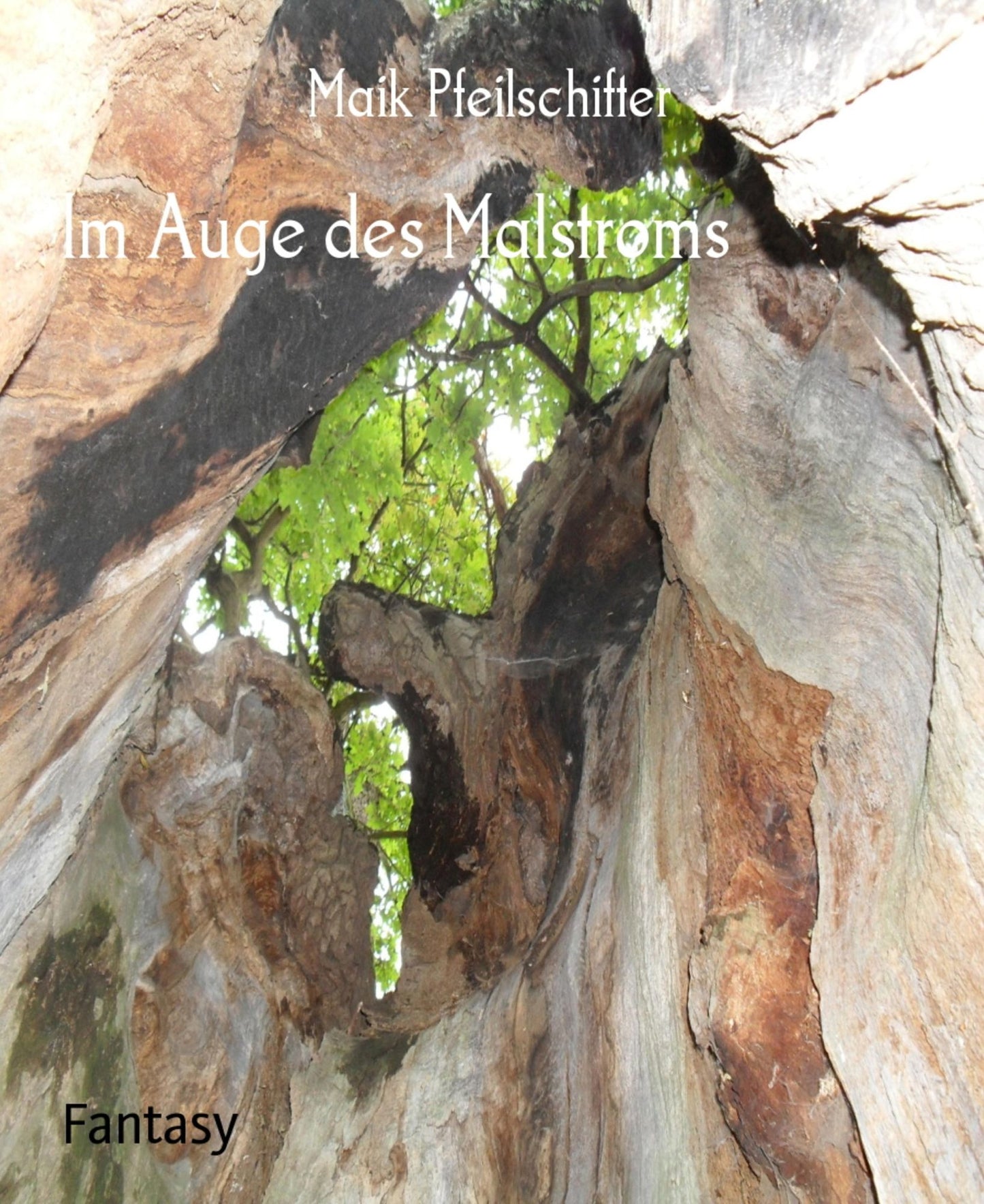 Im Auge des Malstroms